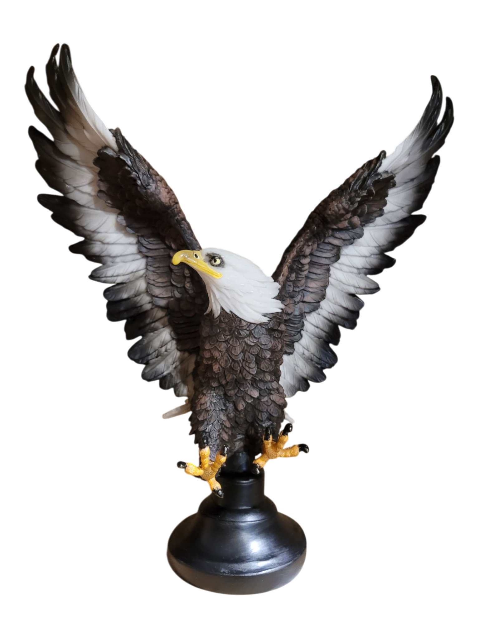 Flying Eagle