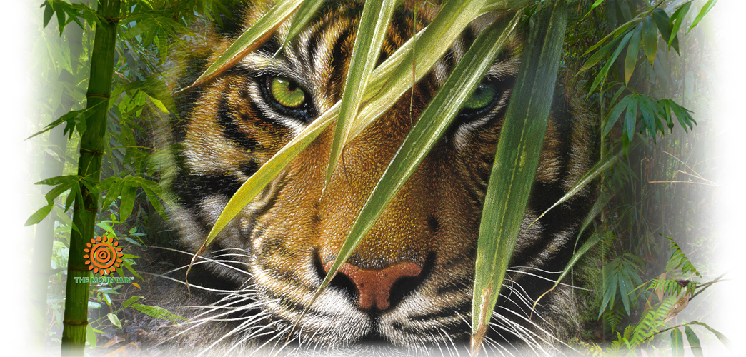 Becher Emerald Forest Tiger