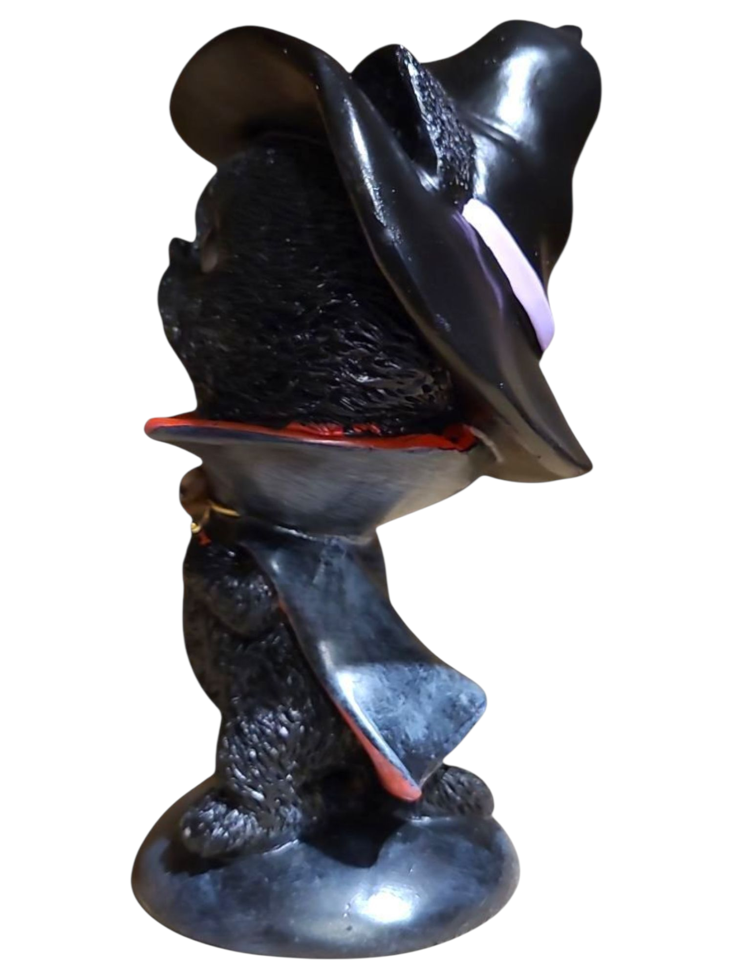 Black Wizard Cat