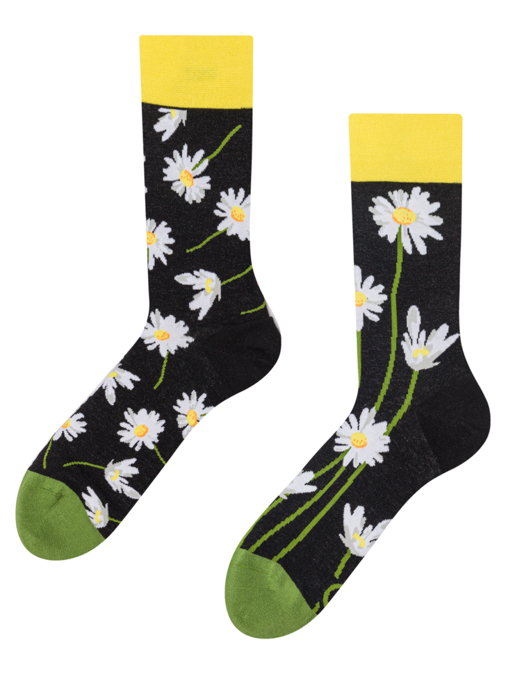 Regular Socks Daisies At Night