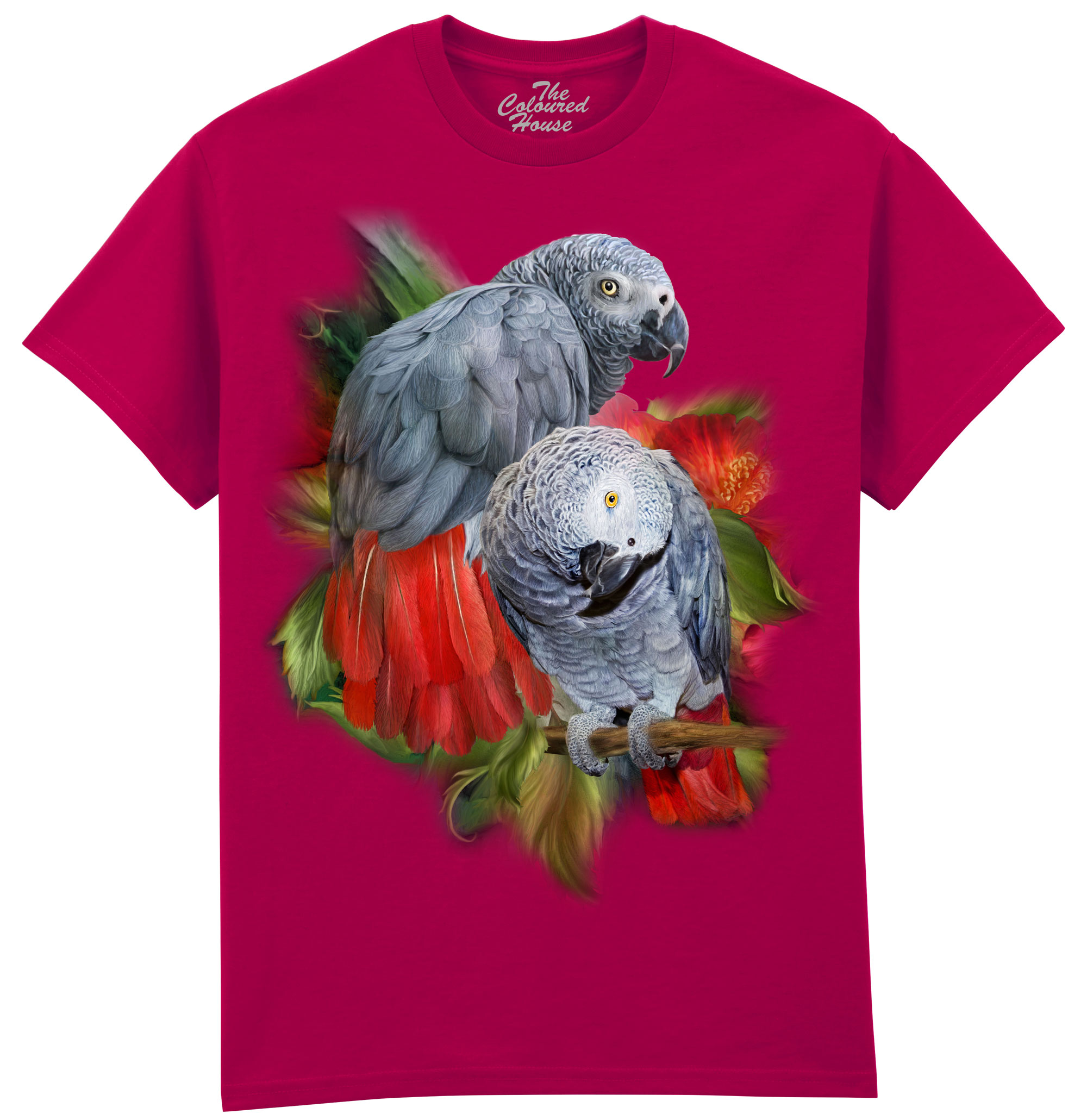 African Greys