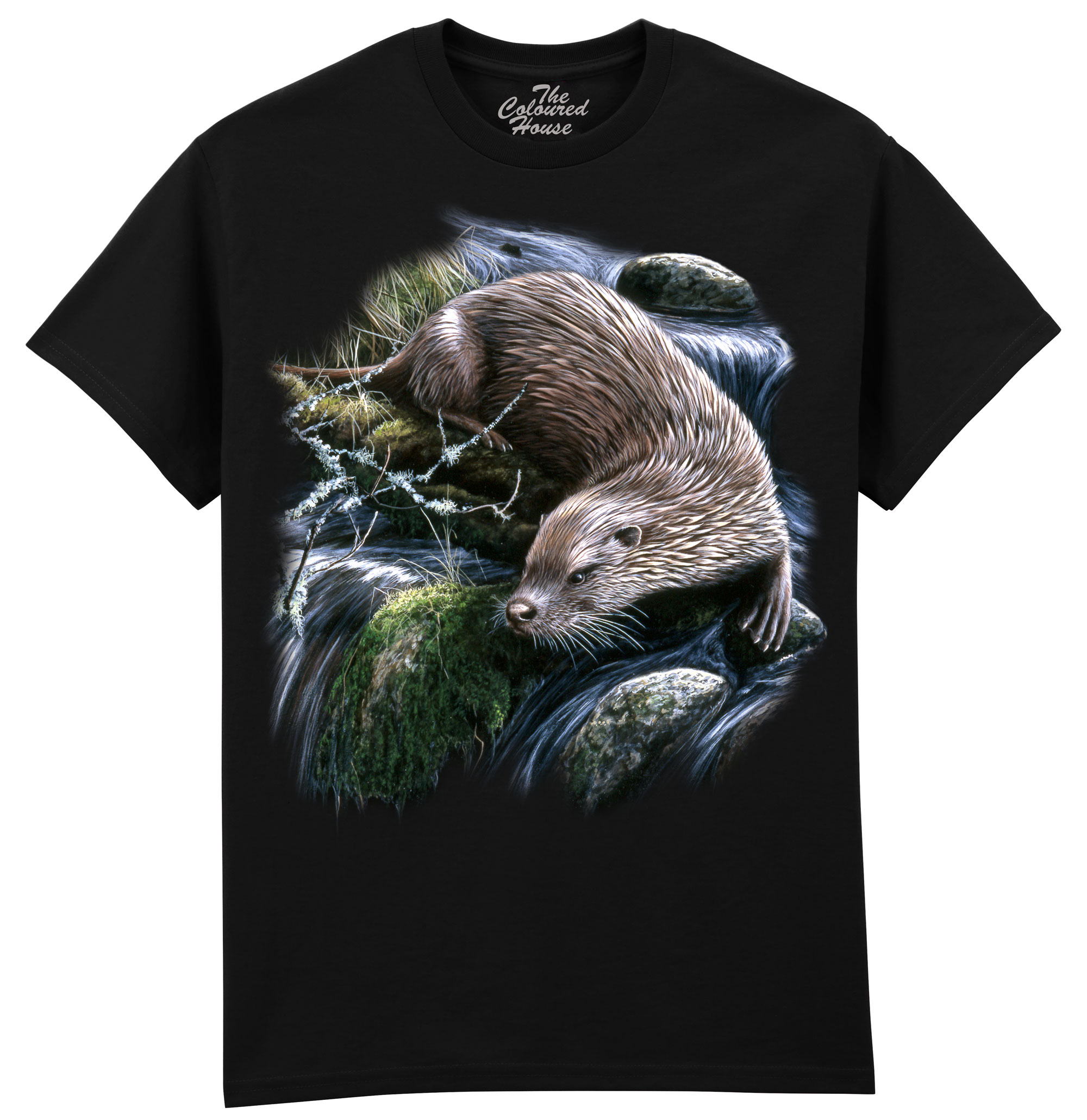 Exploring Otter Exploring Otter