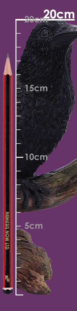 Ravens Perch 20cm Ravens Perch 20cm