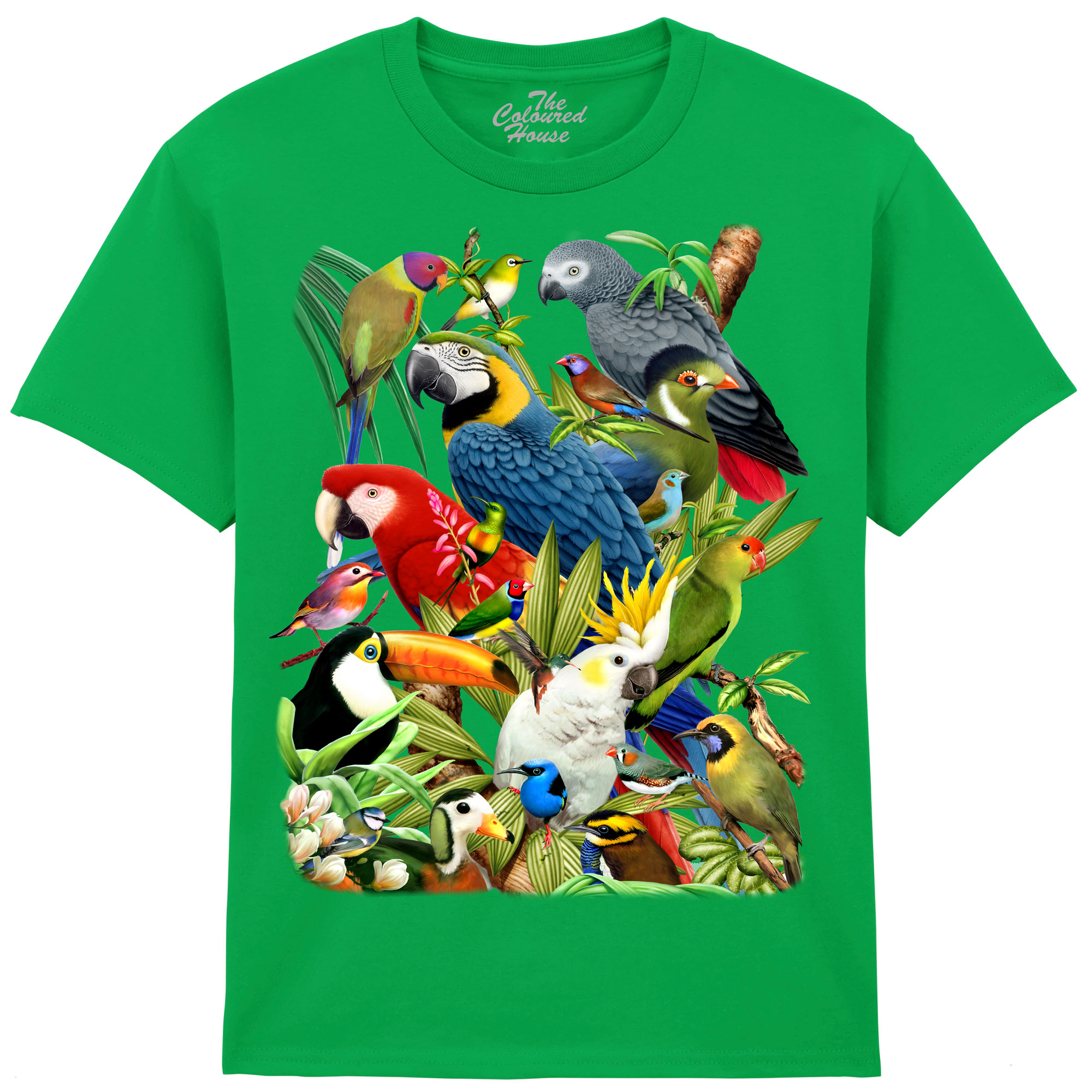 Avian World KIDS