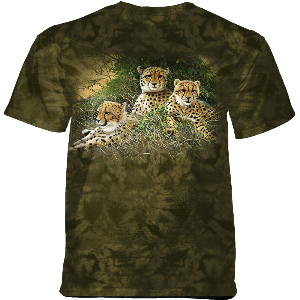 Family Cheetahs