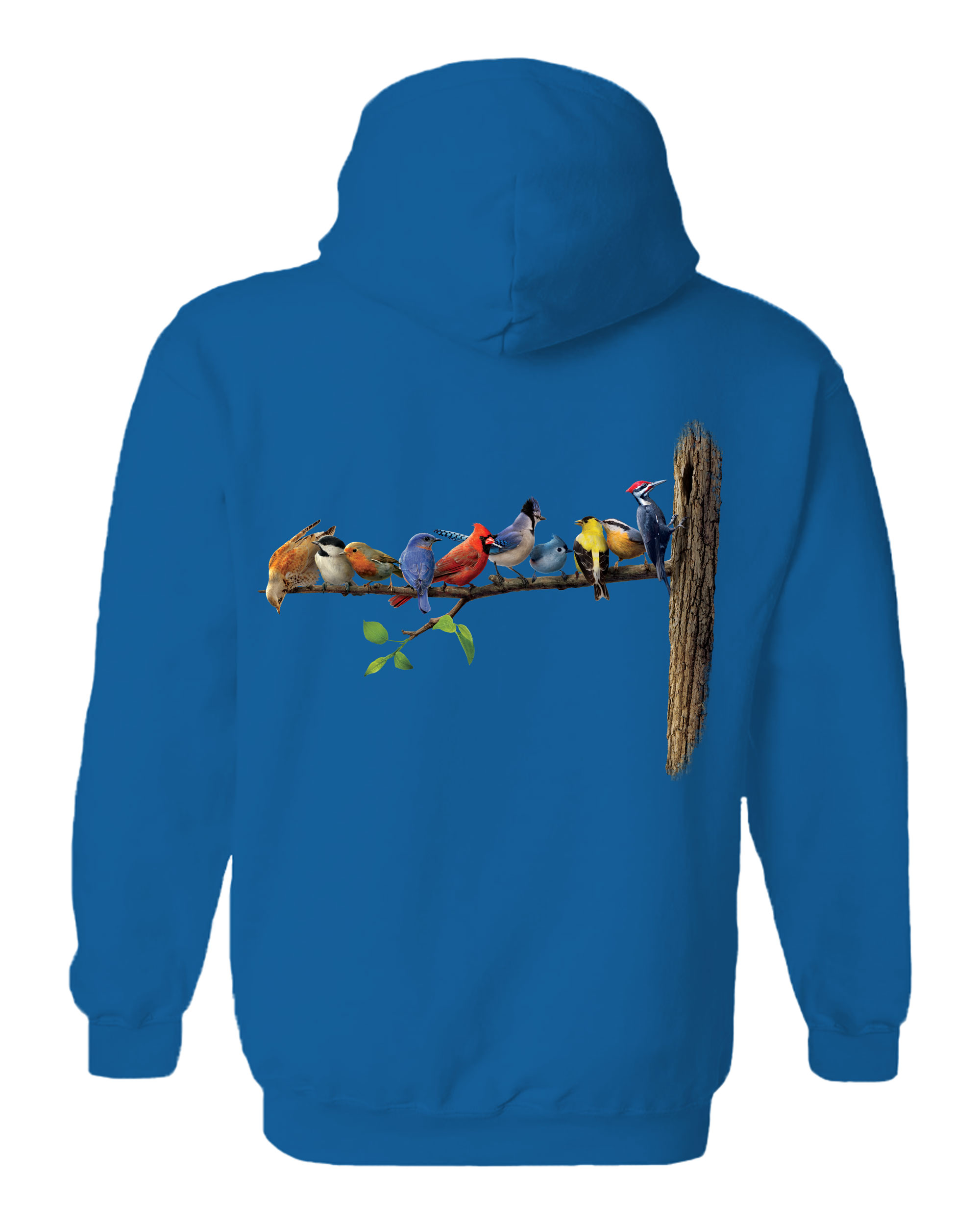 Birds Hoodie