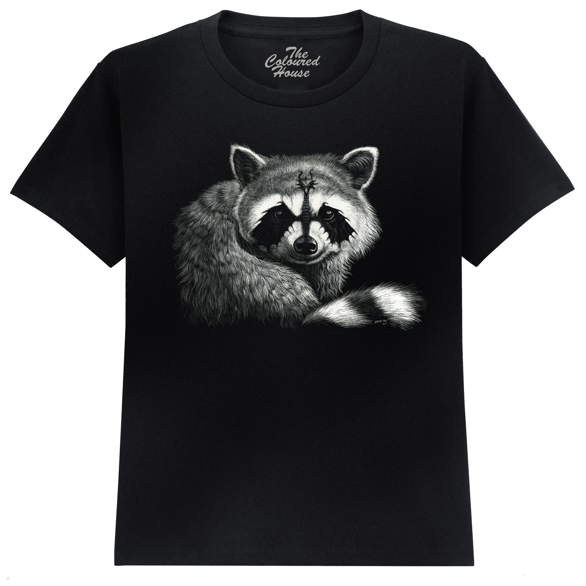 Draccoon KIDS