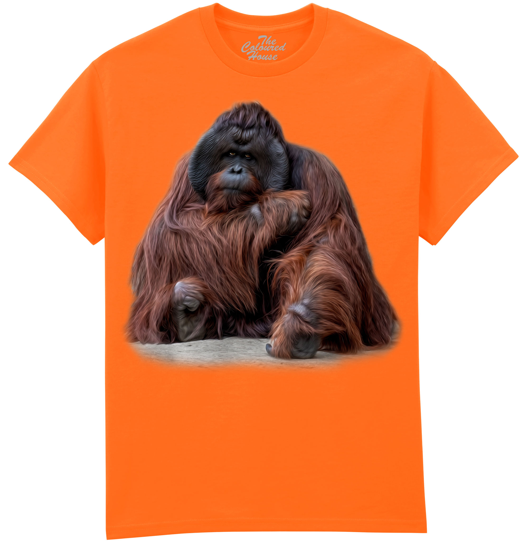 Wisdom Beyond Words - Orangutan