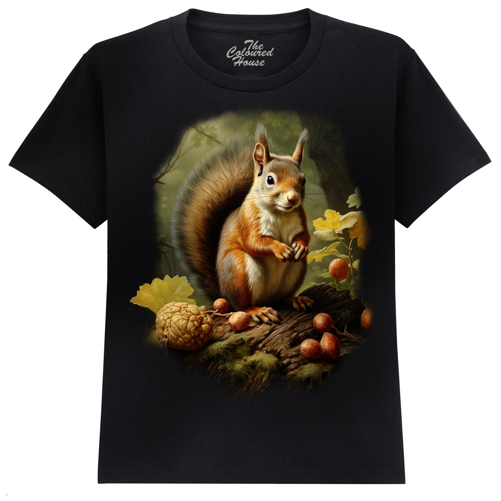 Squirrel In The Woods KIDS