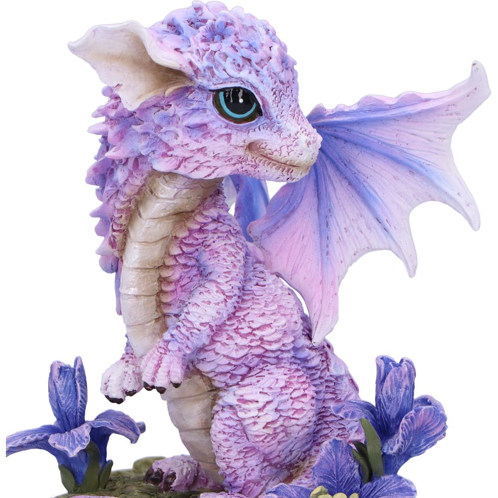 Iris Flower Dragon - 12cm