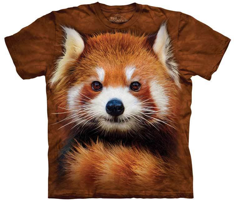 Red Panda Portrait