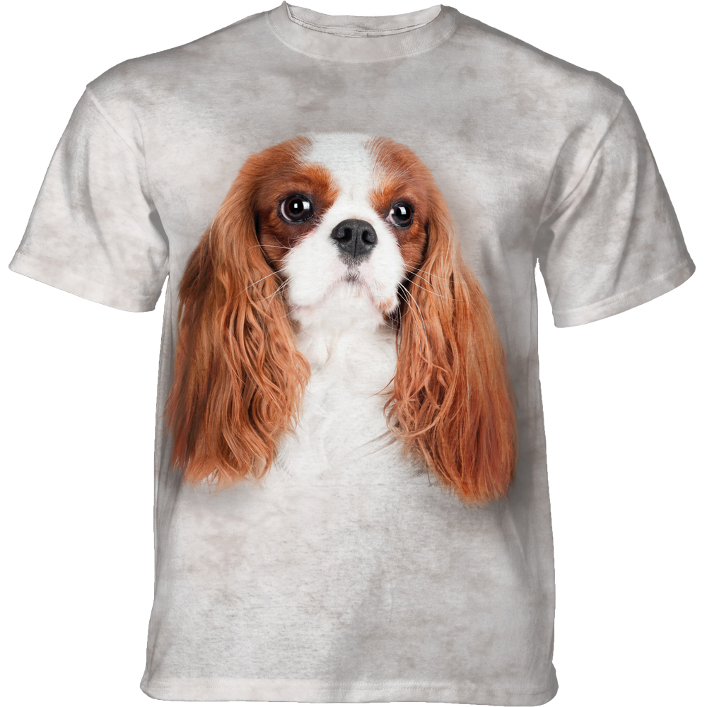 Cavalier King Charles Spaniel