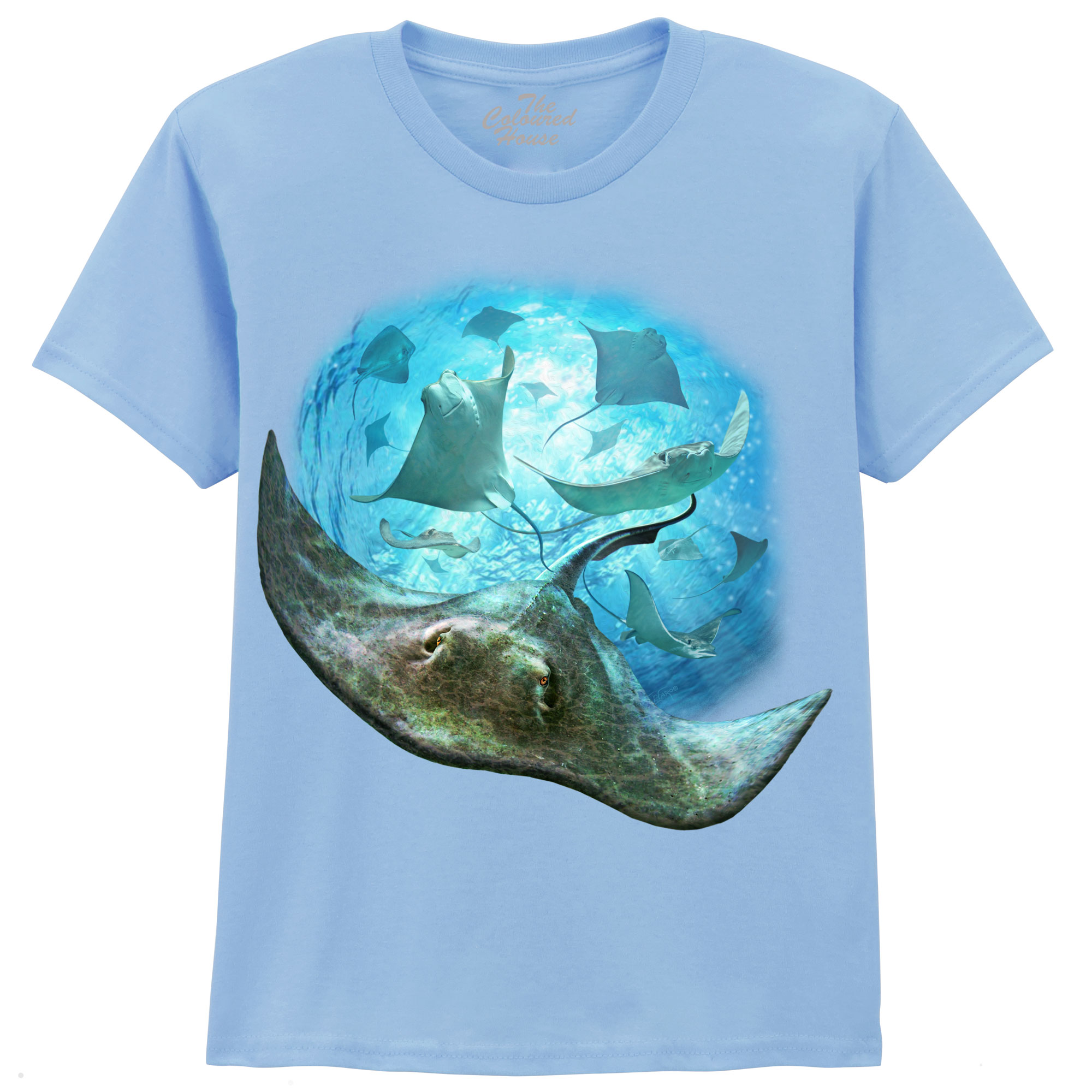 School Of Stingrays KIDS