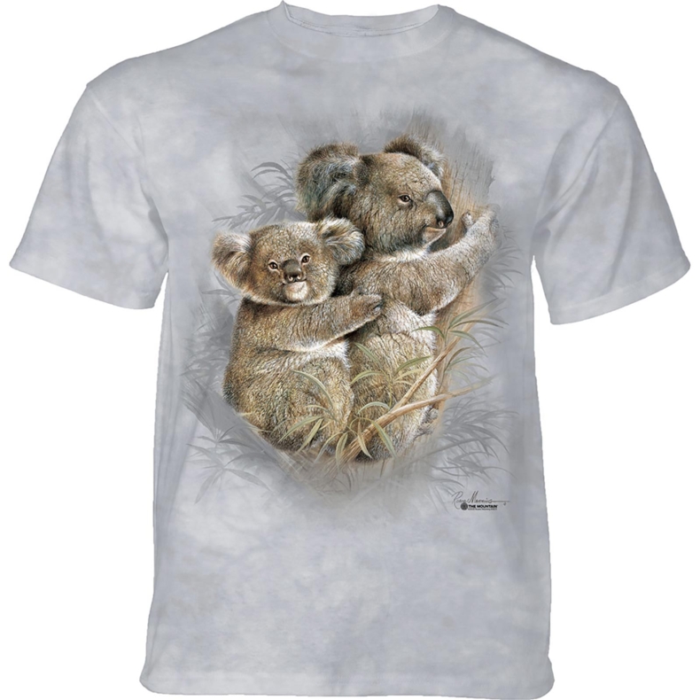 Koalas