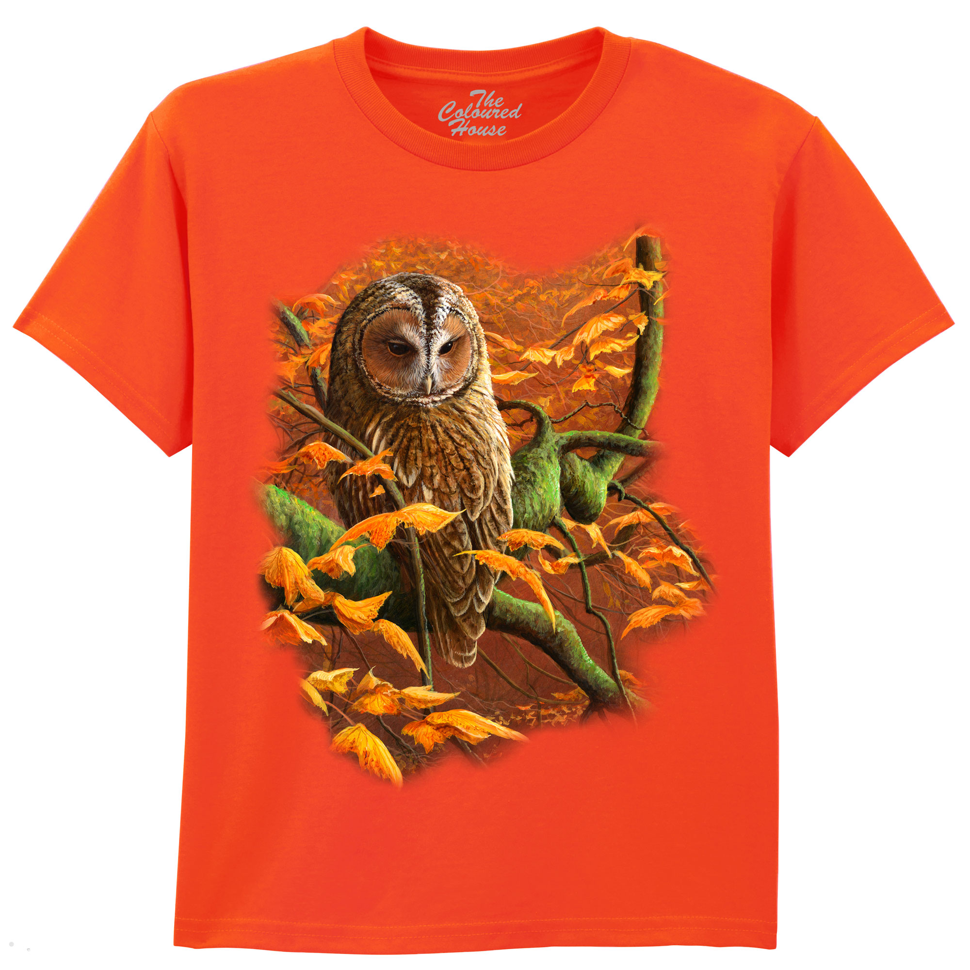 Autumn Tawny Owl KIDS