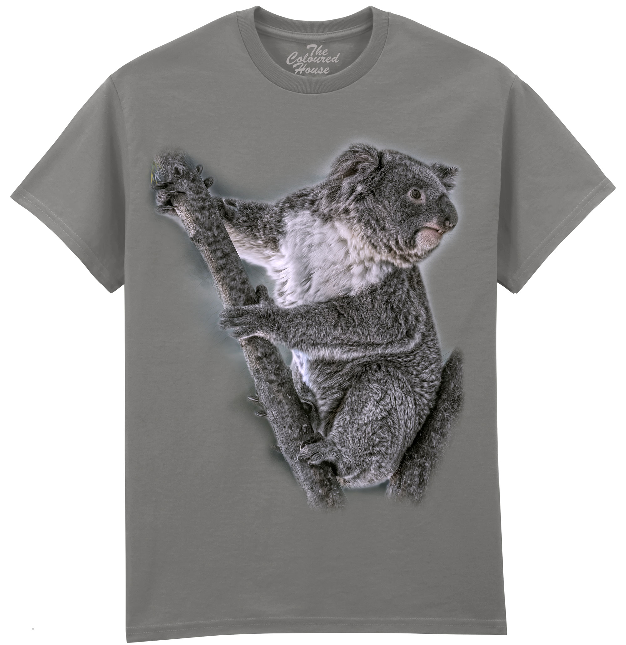 Eucalyptus Whisperer - Koala