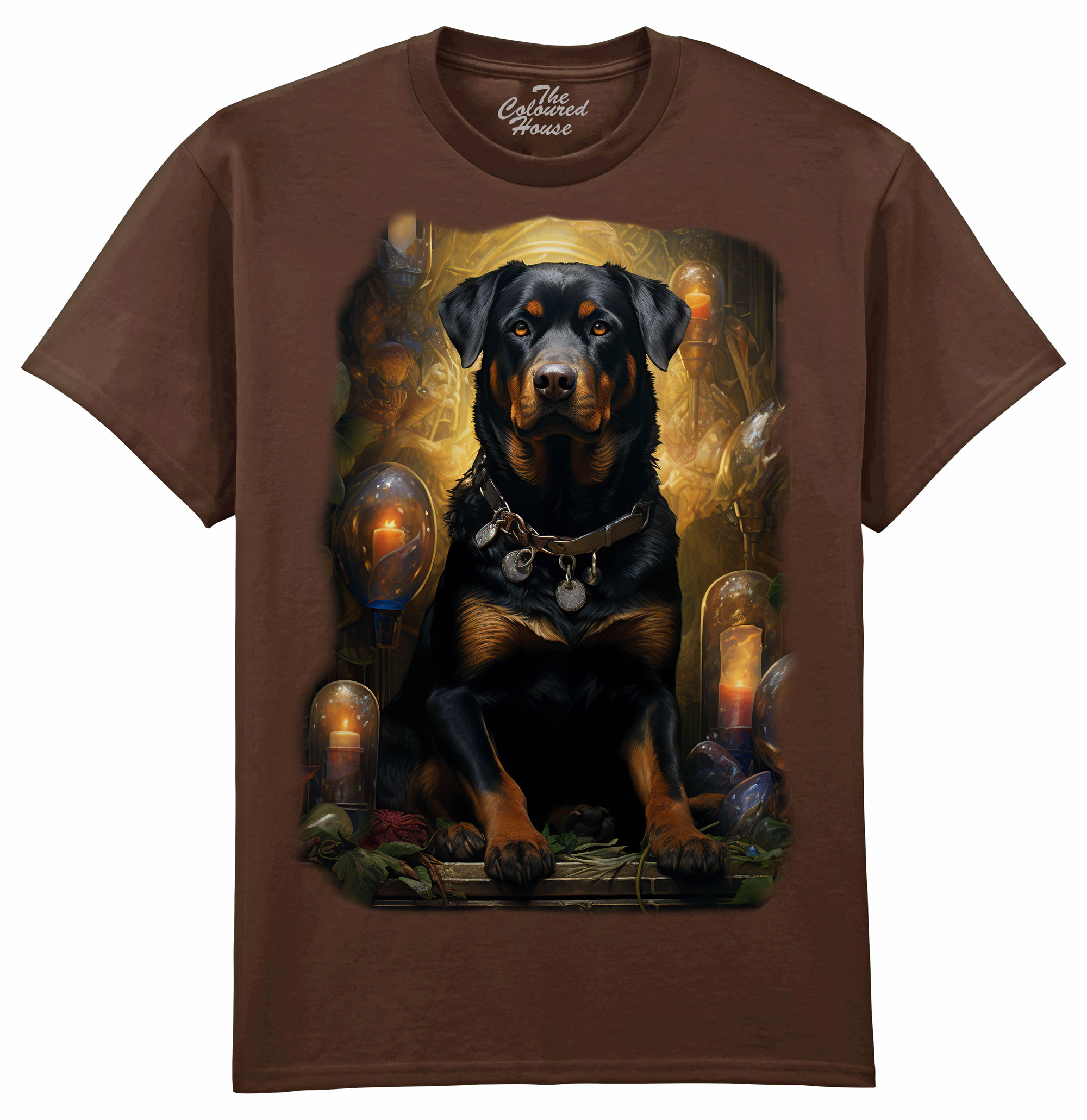 Rottweiler Portrait