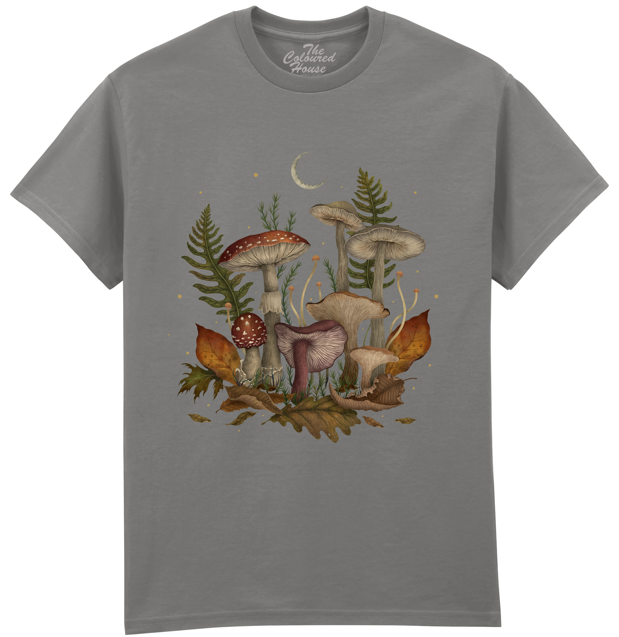 Autumn Mushrooms
