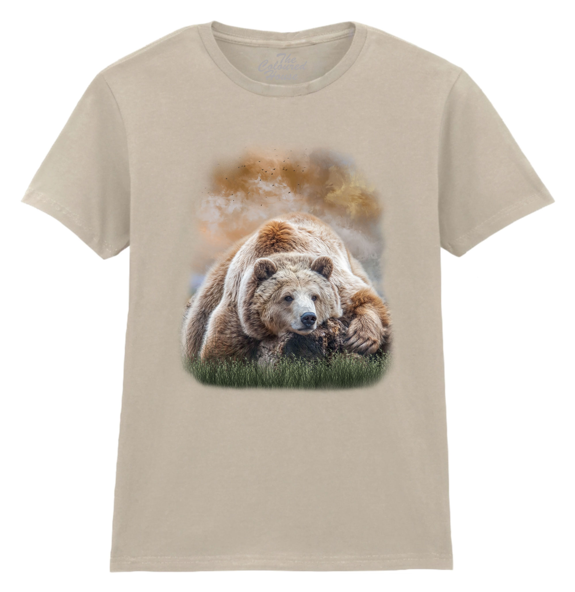 Bearly Awake Ladies T-shirt