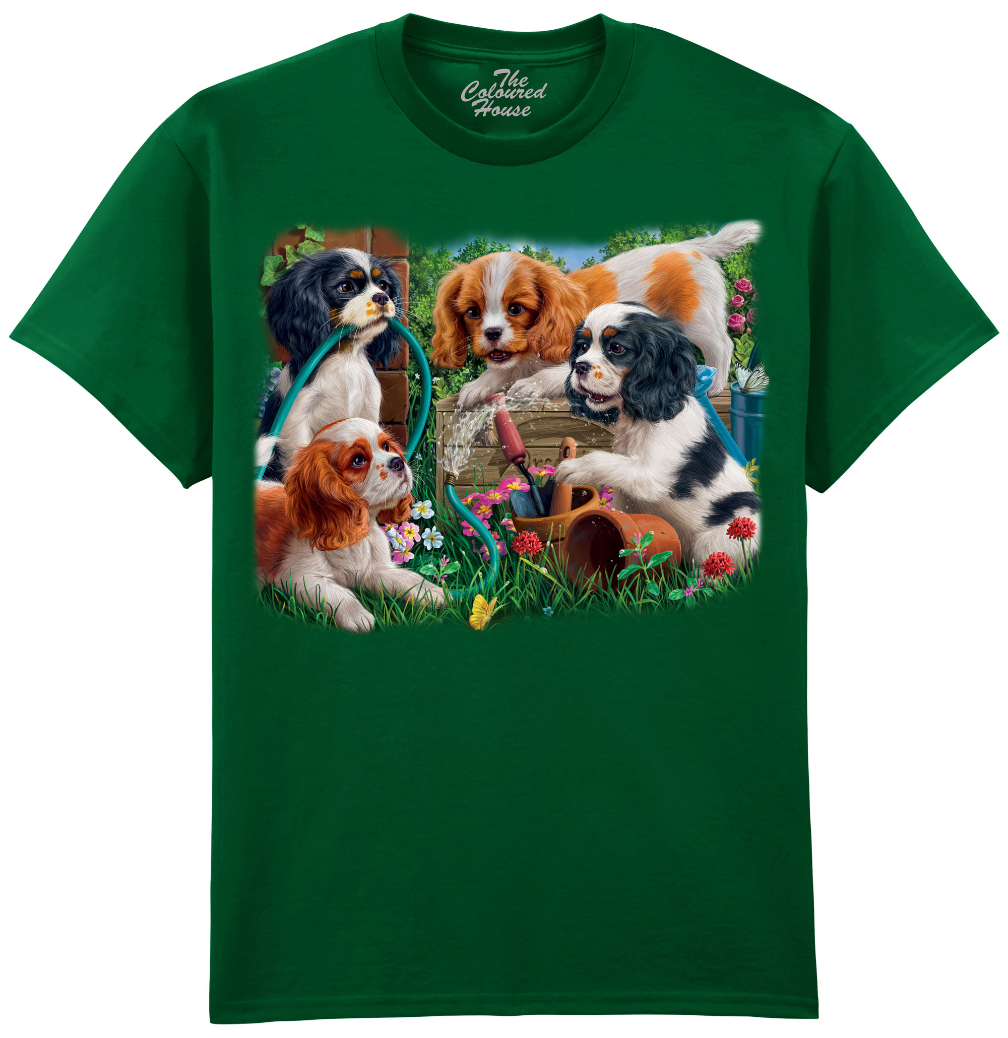 Puppies In The Garden