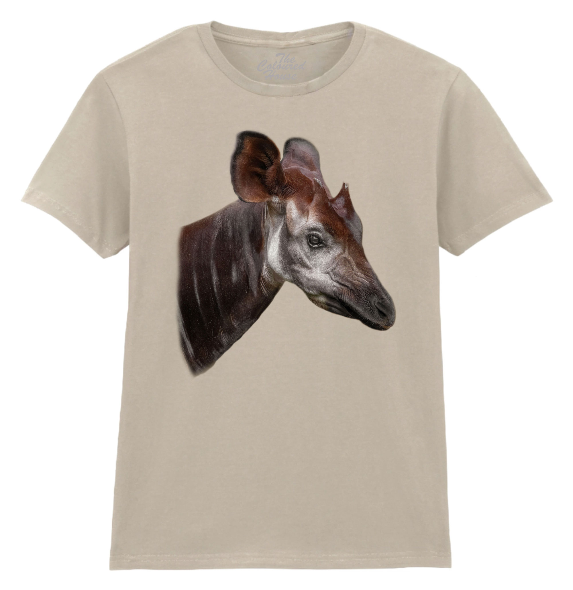 The Elusive Okapi Ladies T-shirt