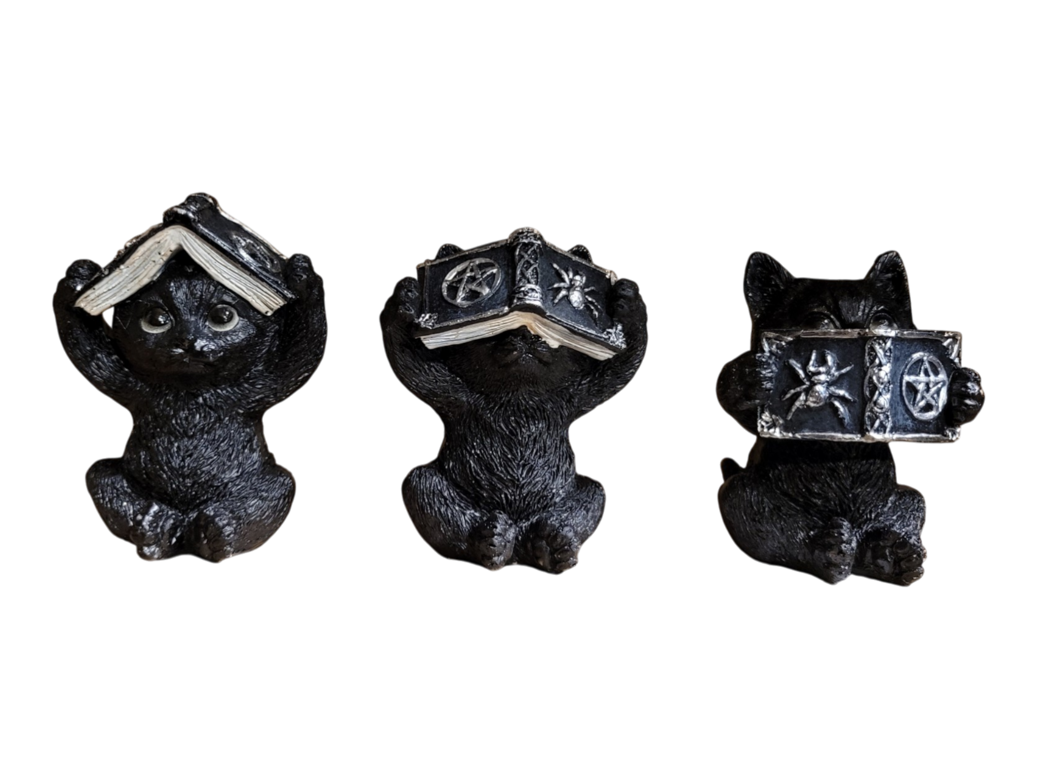 Three Wise Black Cat Books