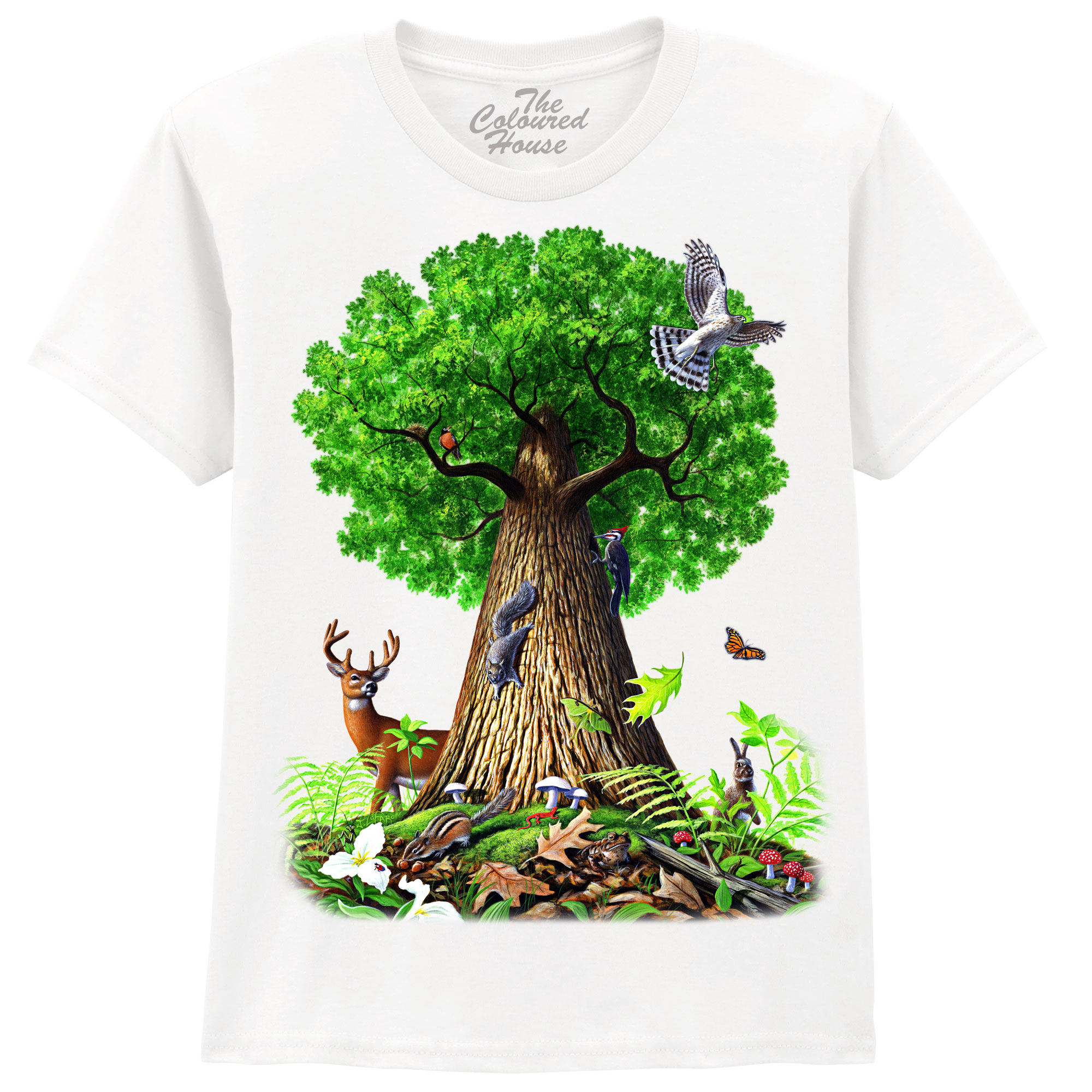 Tree Of Life Animals KIDS Tree Of Life Animals KIDS