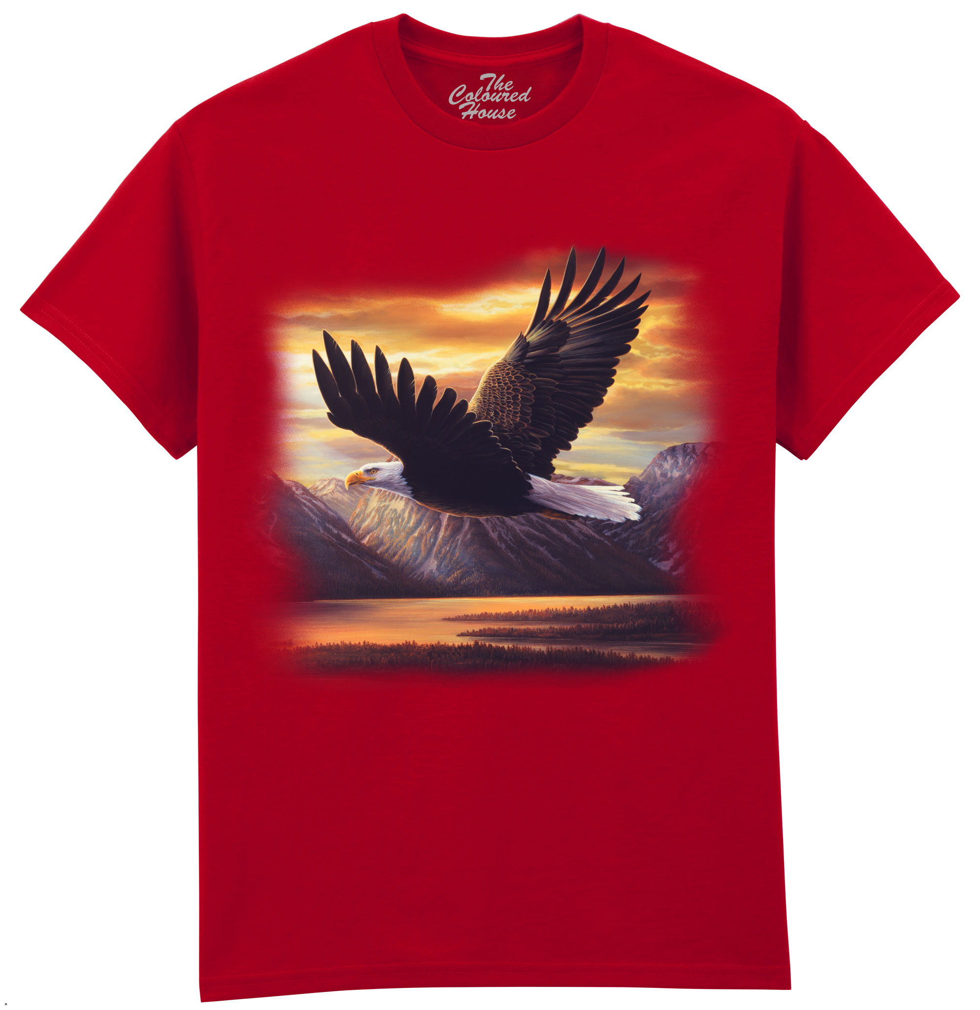 Sacred Vigil - Bald Eagle
