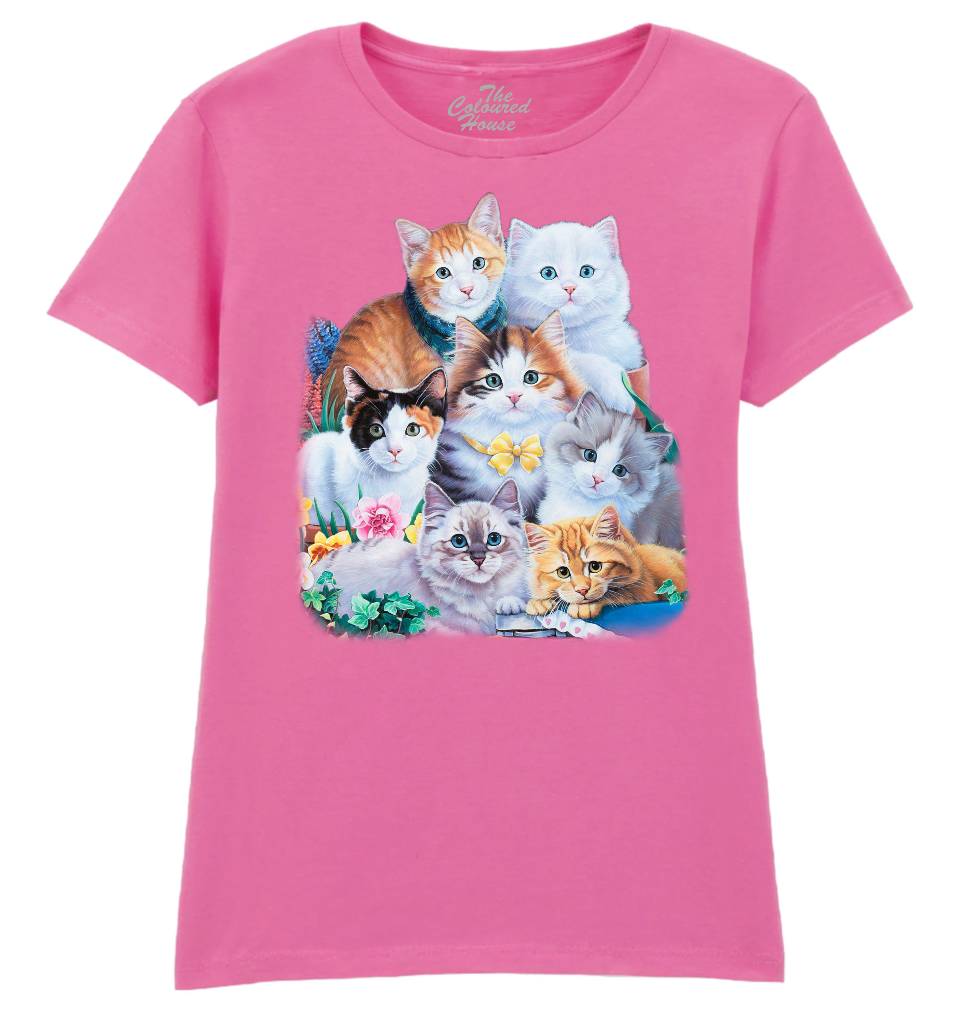 Kitten Collage Ladies T-shirt