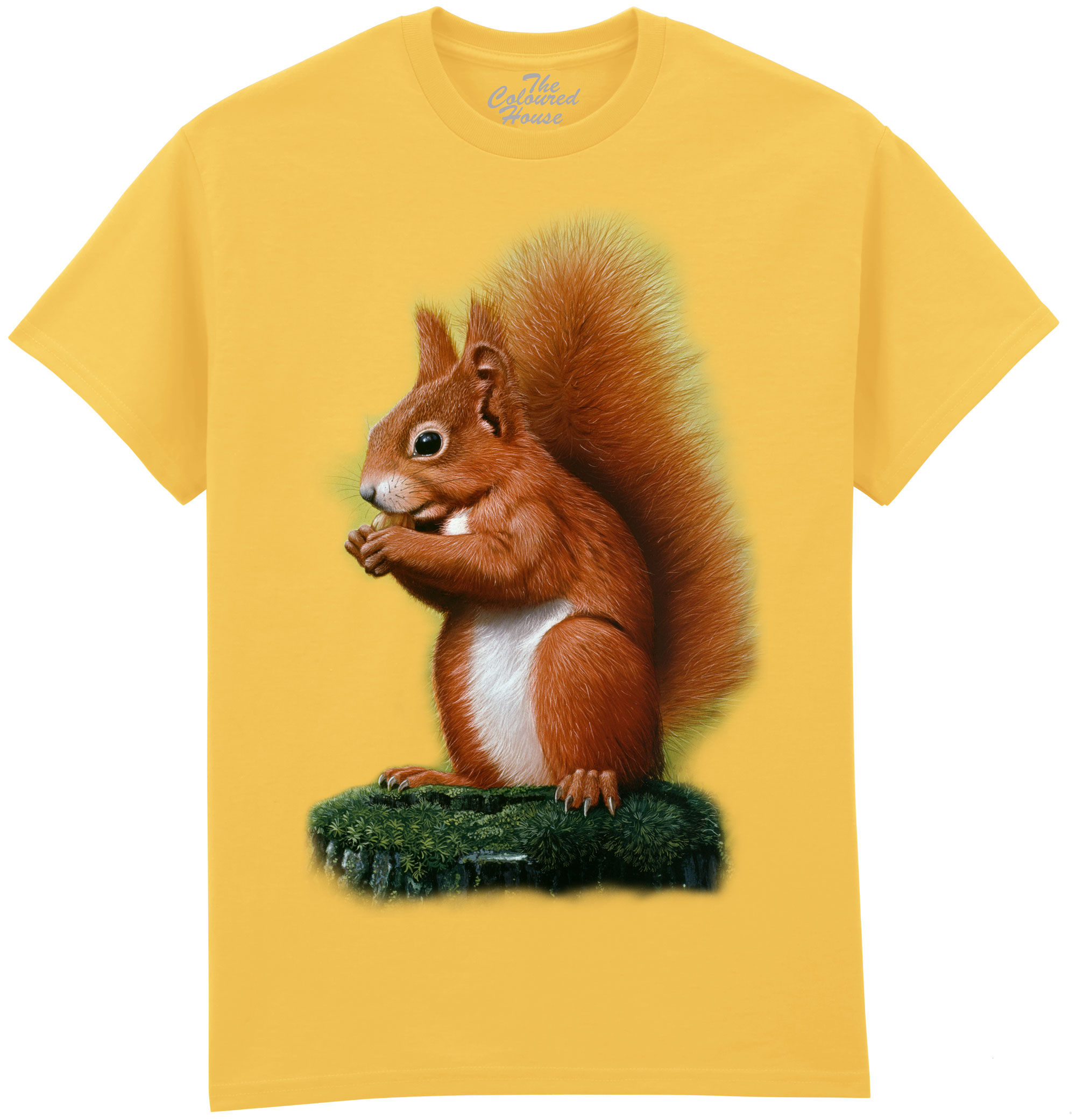 Red Squirrel