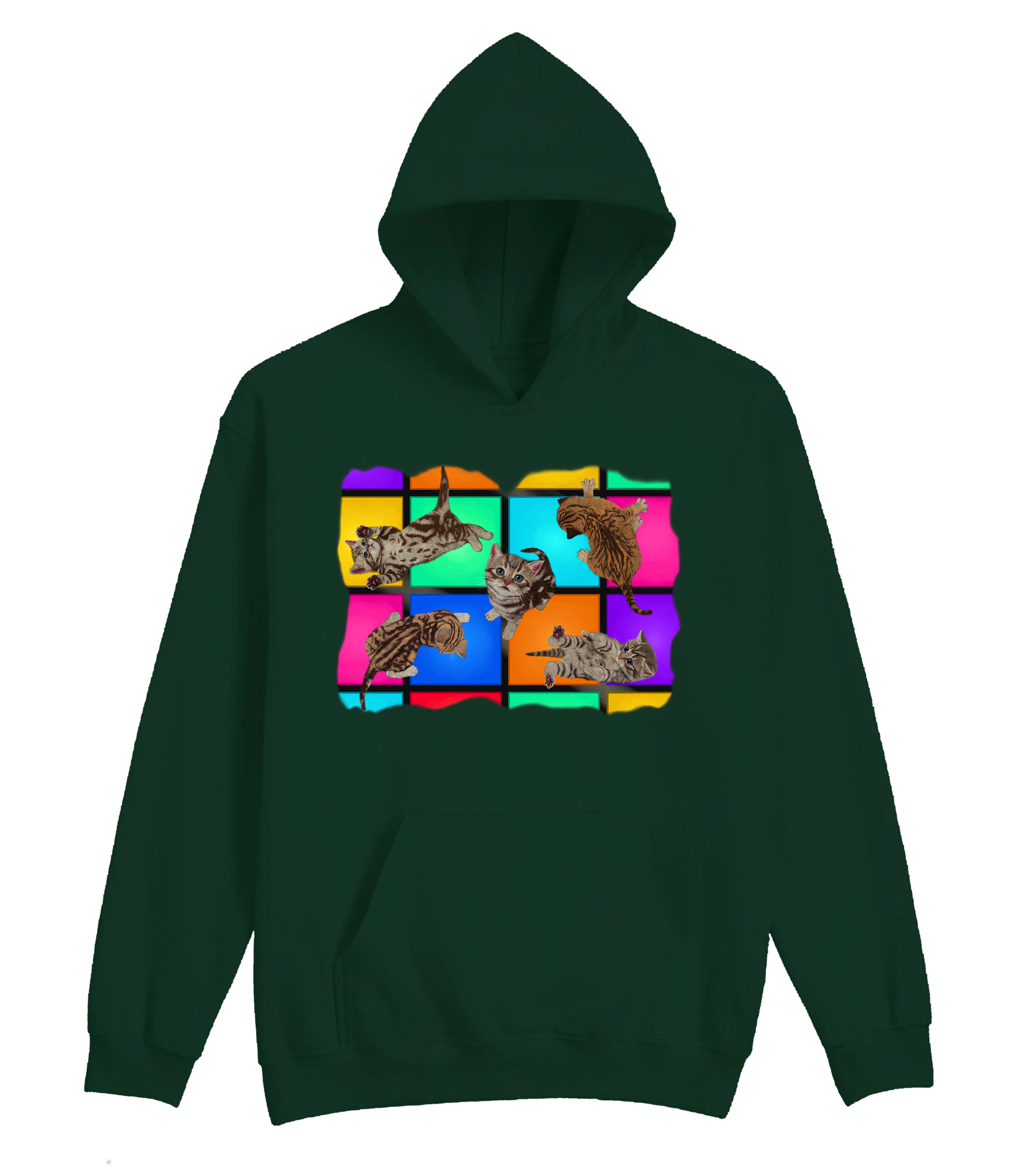 Disco Kittens Hoodie