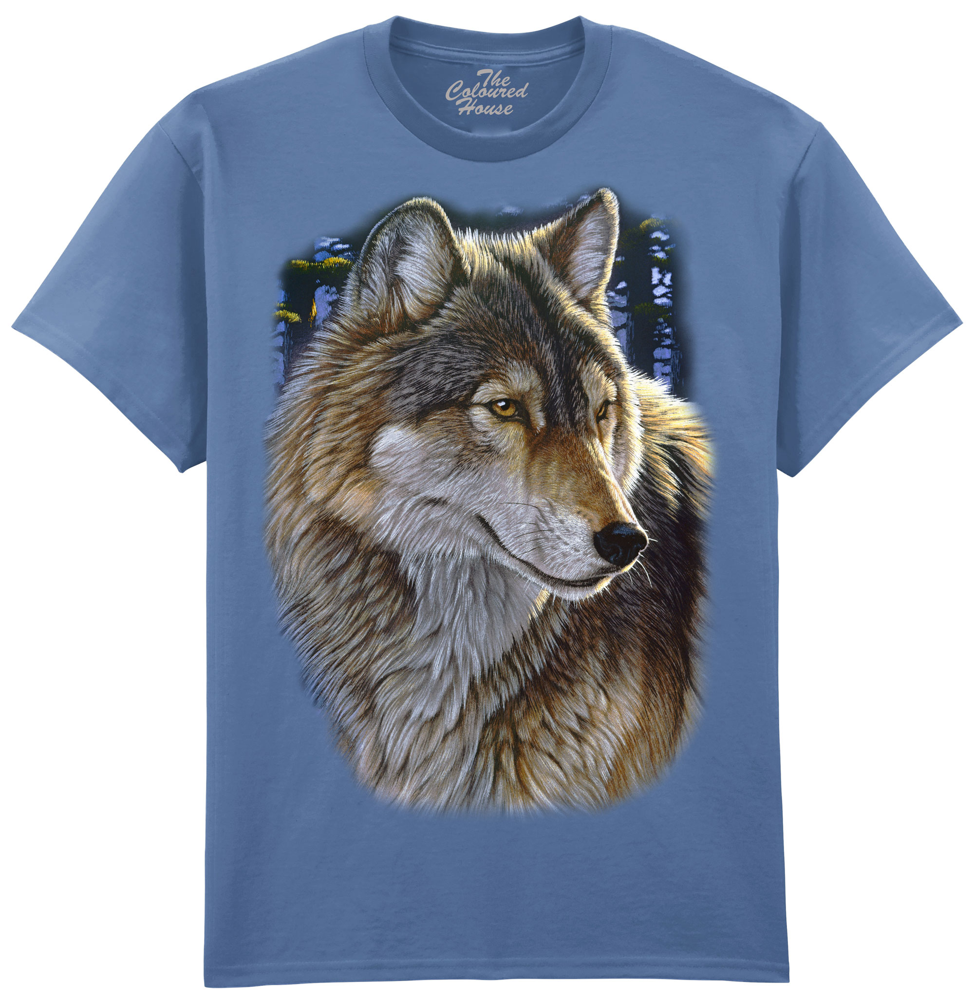 Evening Wolf Portrait