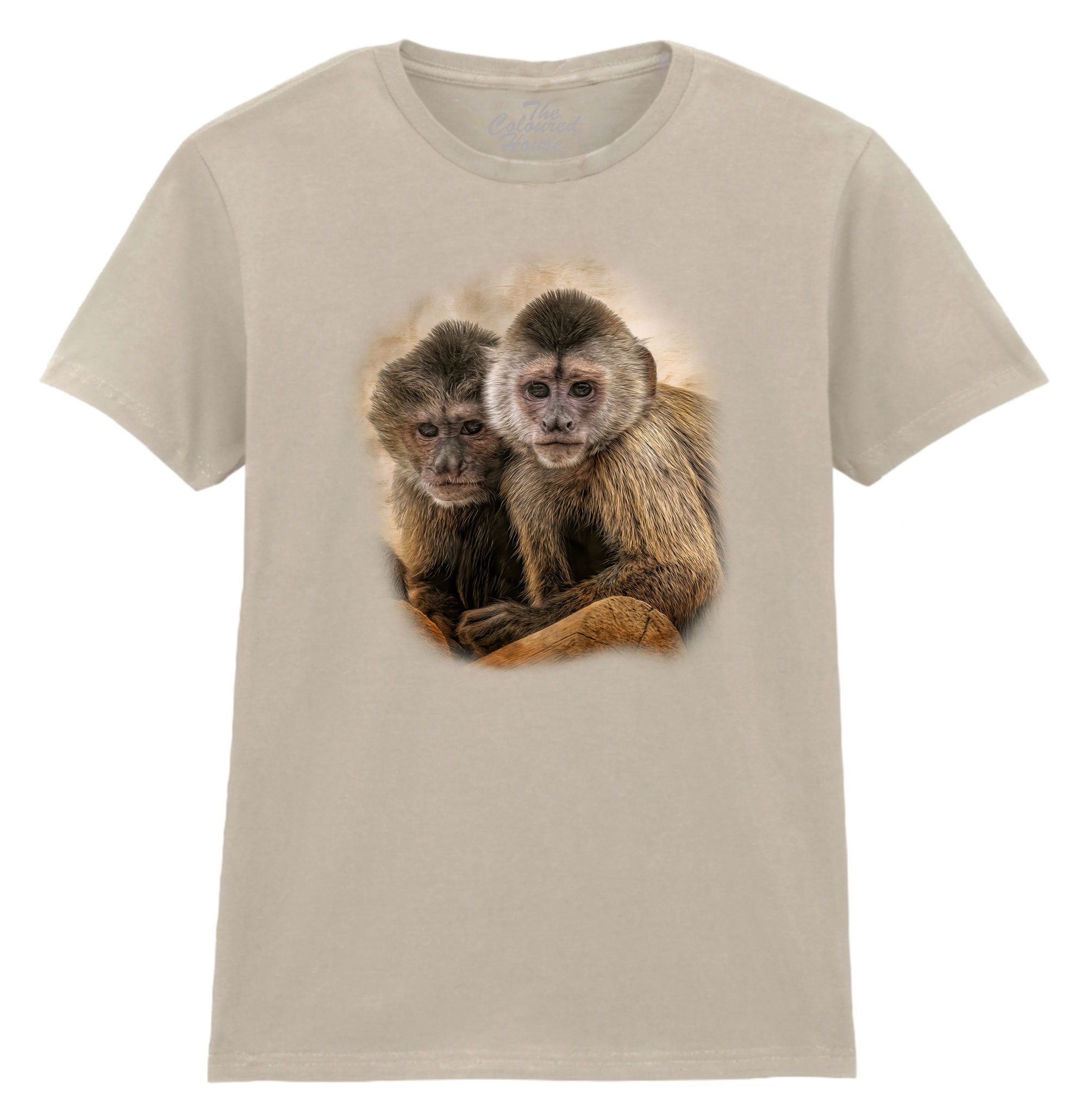 Companions In Mischief Ladies T-shirt