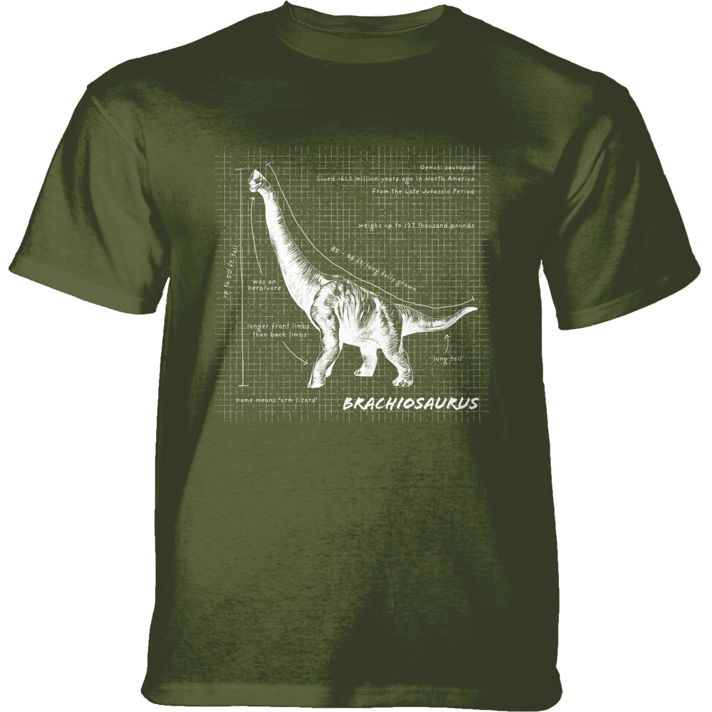 Brachiosaurus Fact Sheet Green