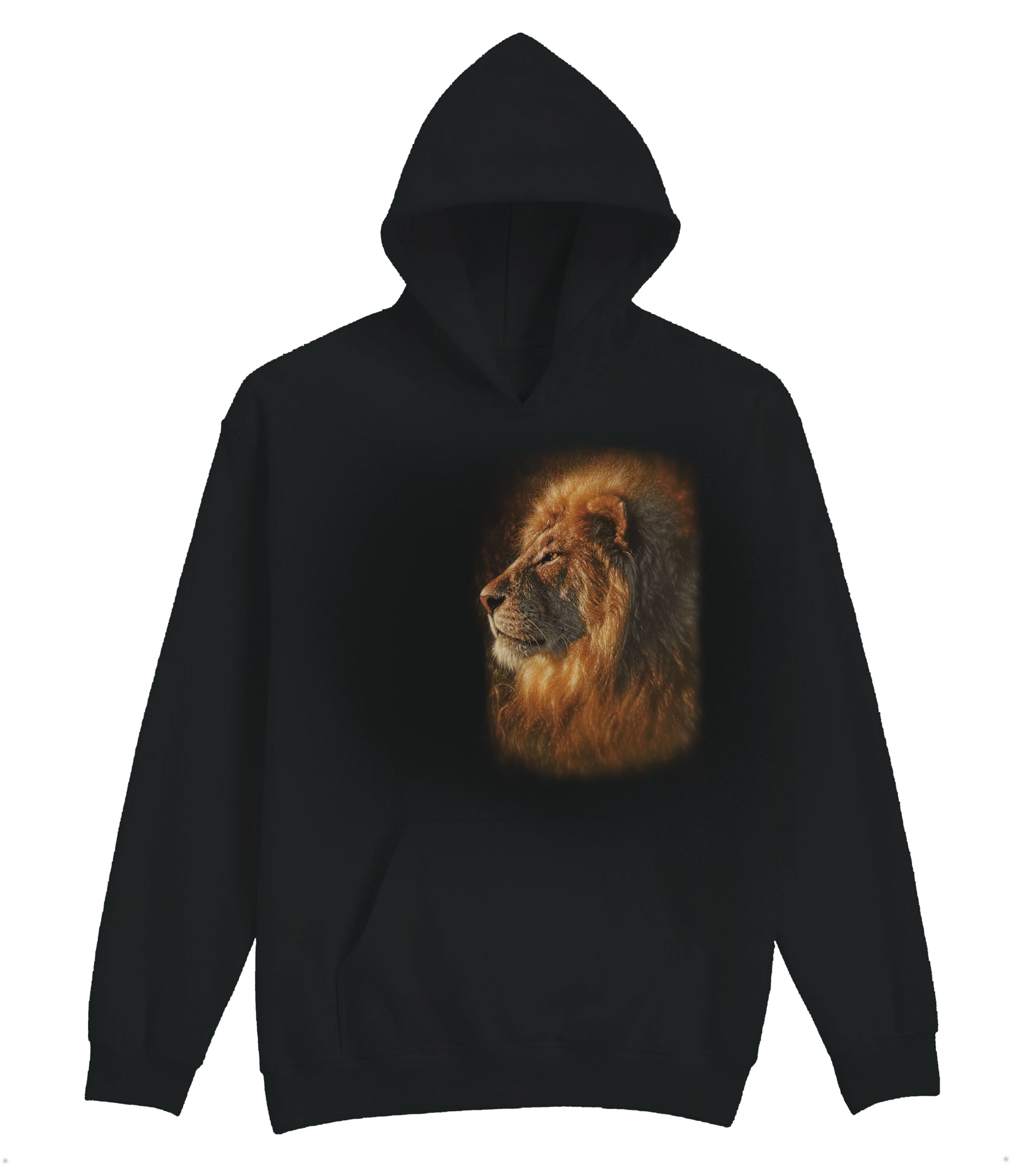 Sunbathing Lion Hoodie
