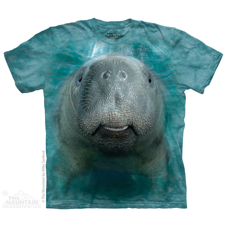 Big Face Manatee
