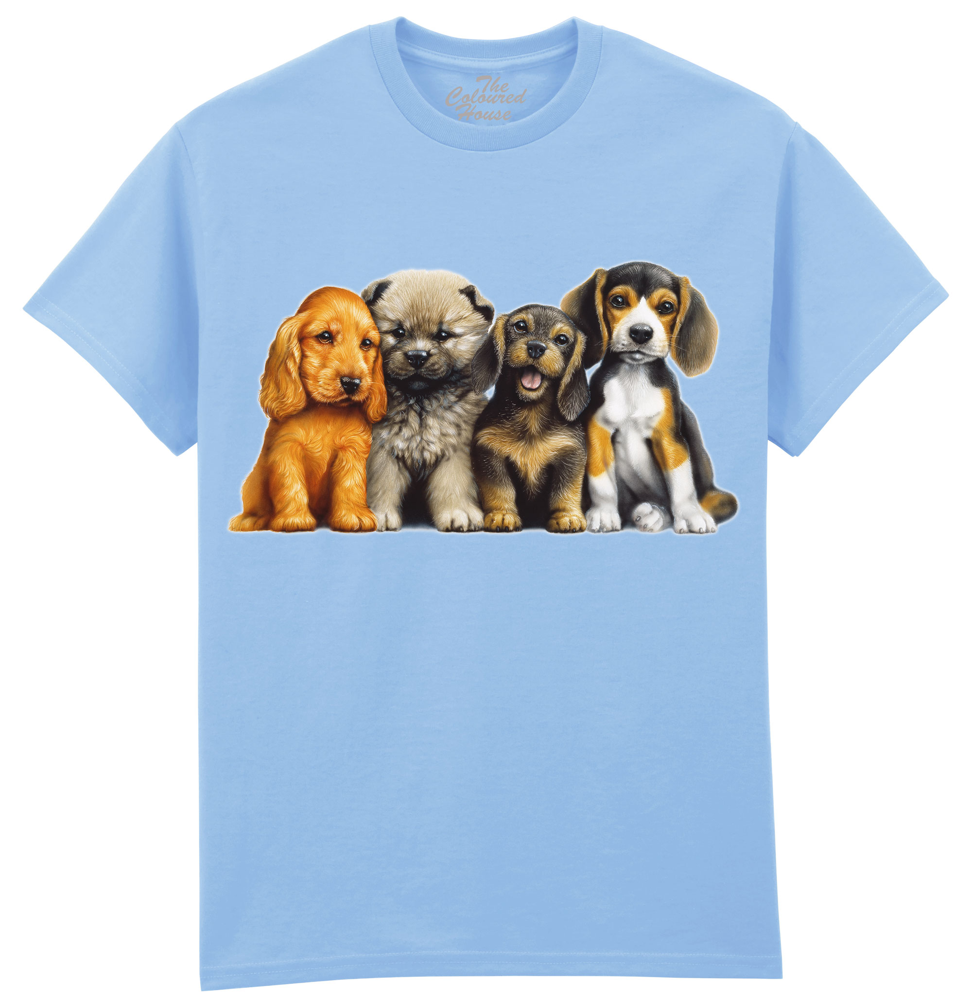 Young Dogs