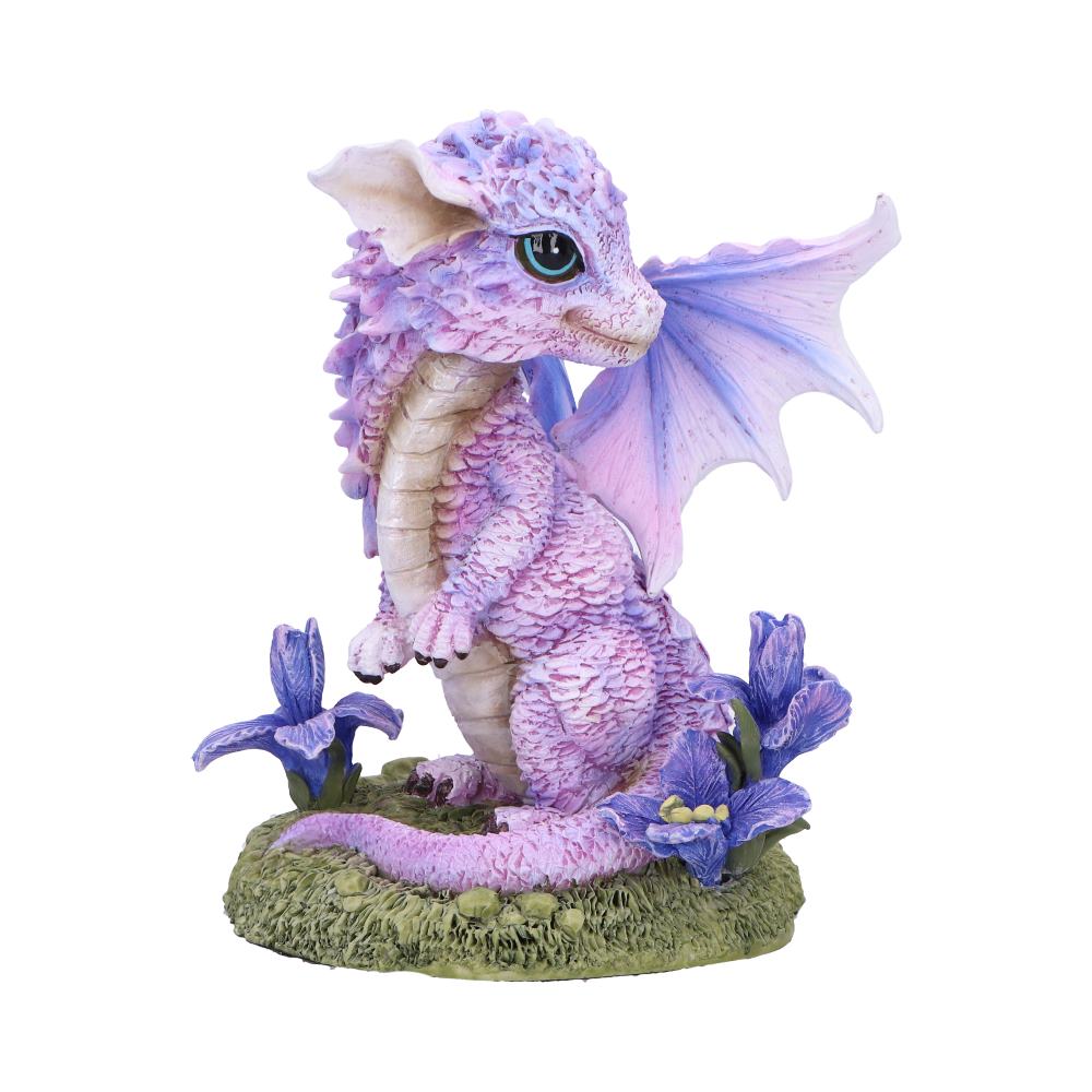 Iris Flower Dragon - 12cm