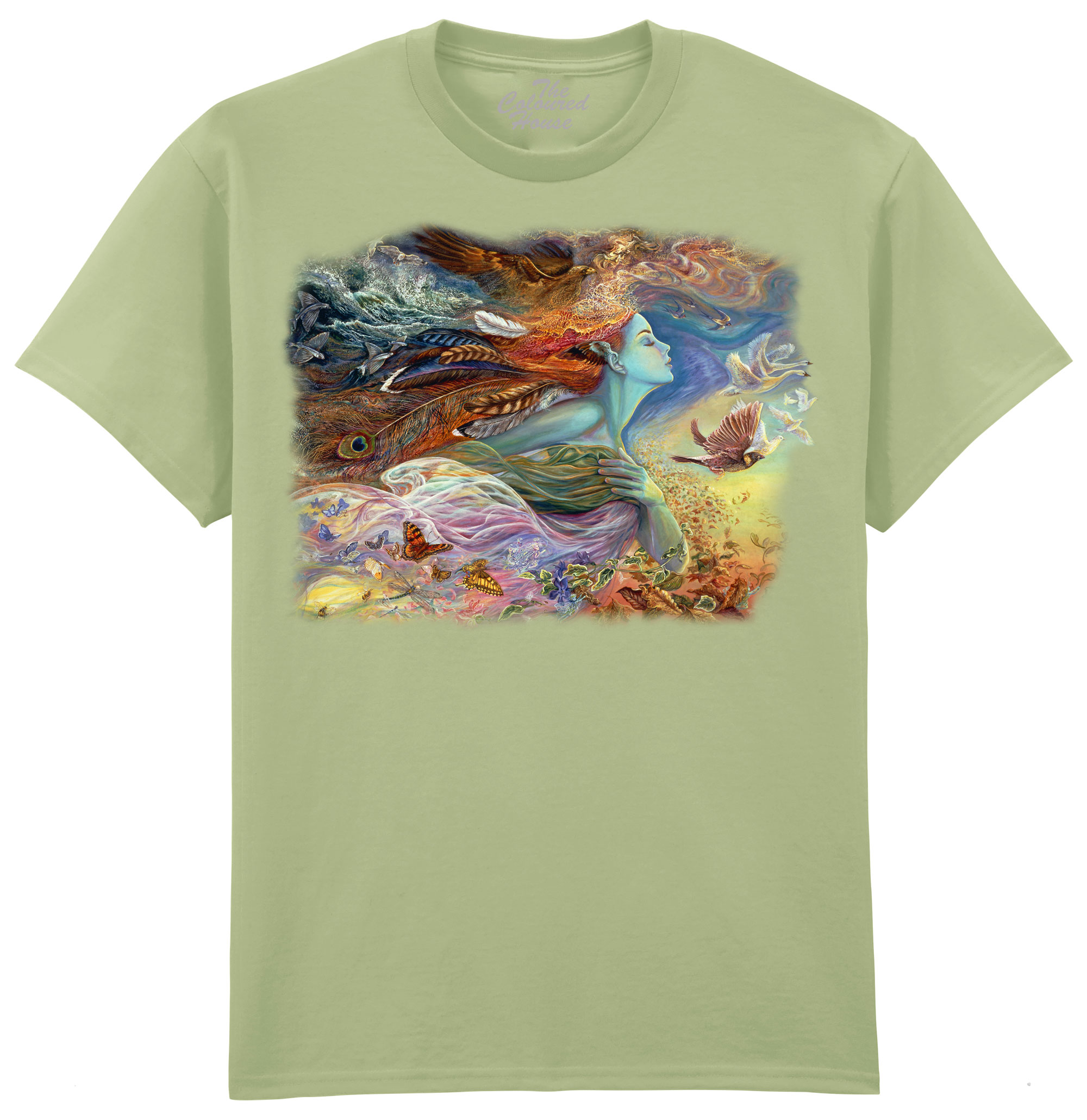Spirit Of Flight