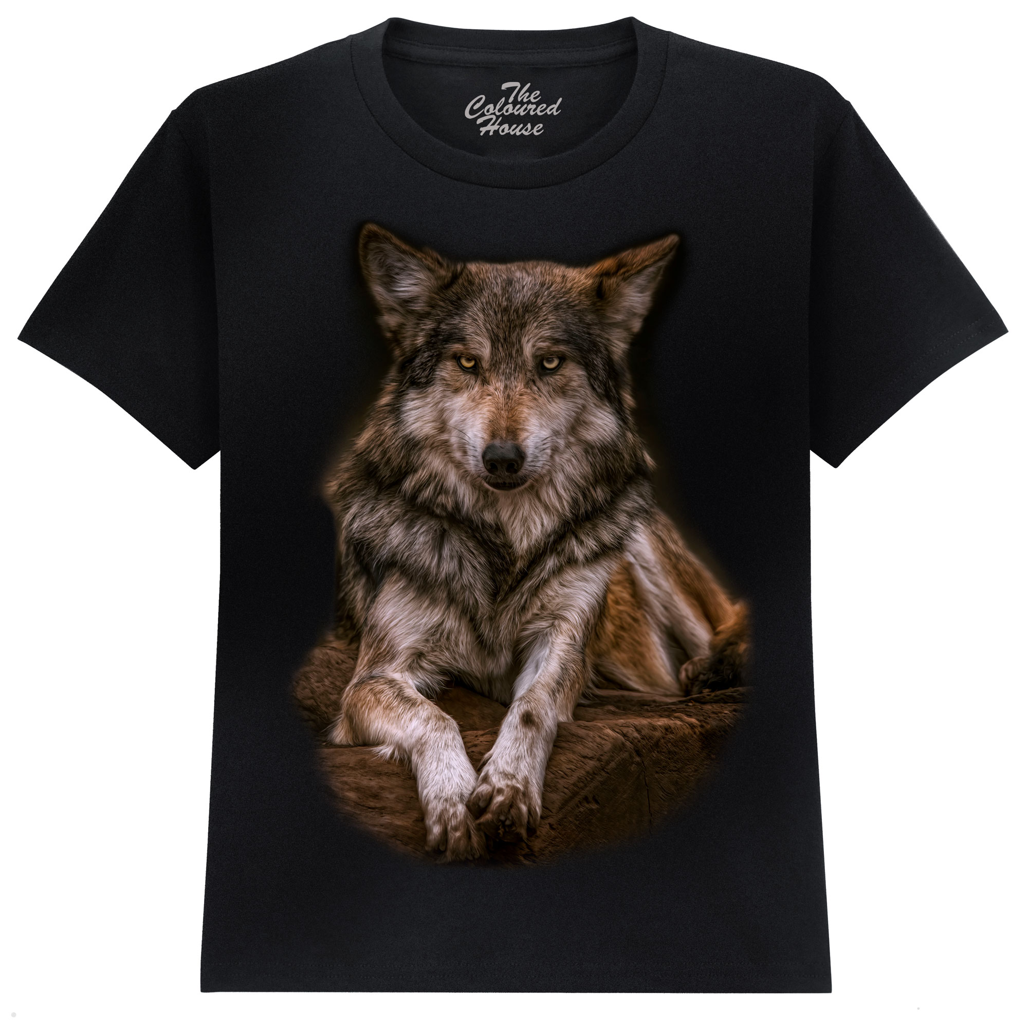 The Spirit Within - Wolf KIDS