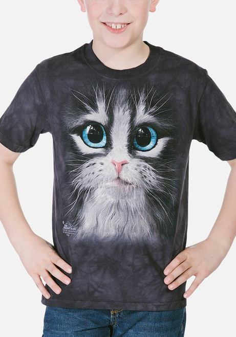 Cutie Pie Kitten