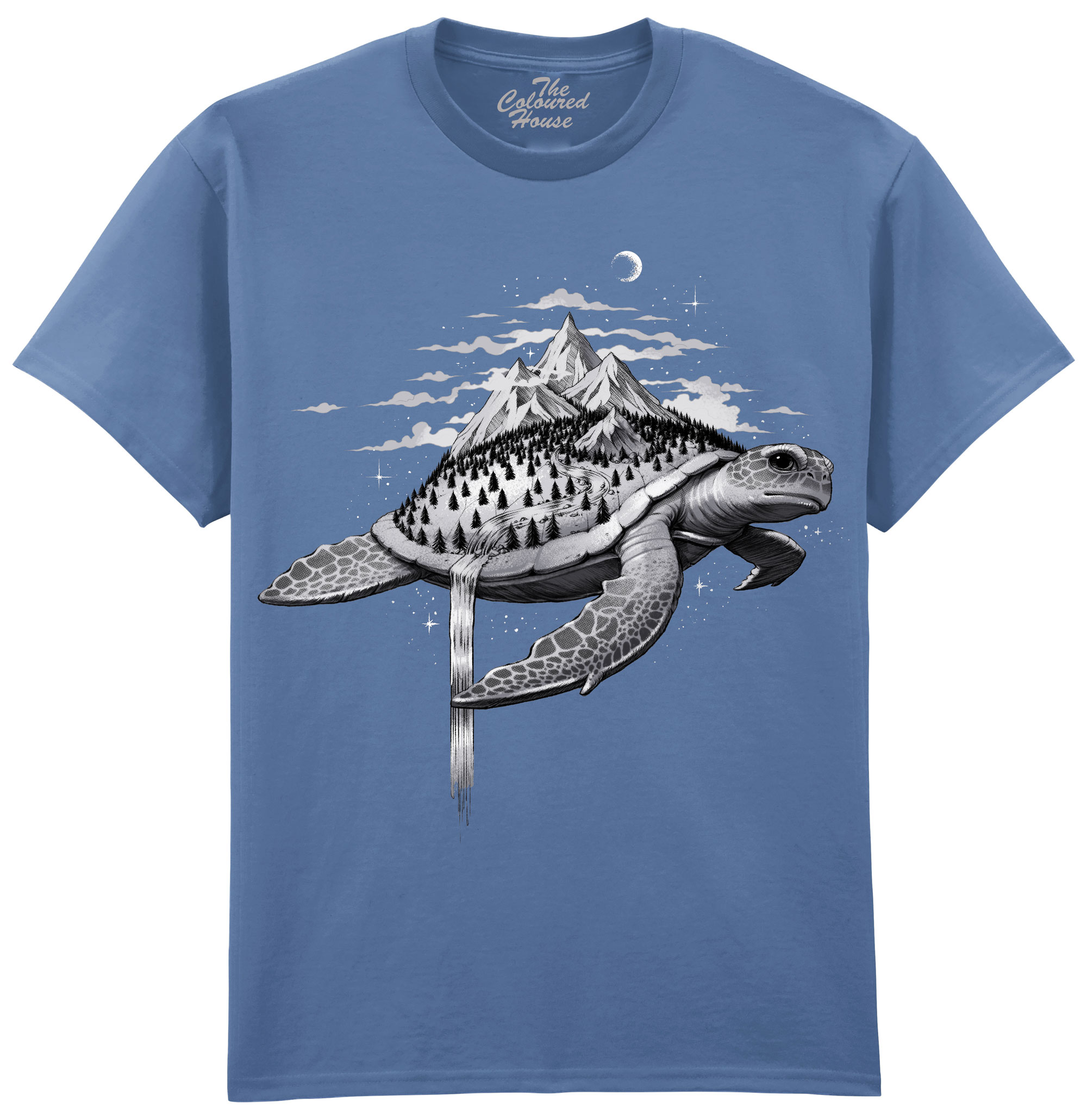 Adventure Turtle