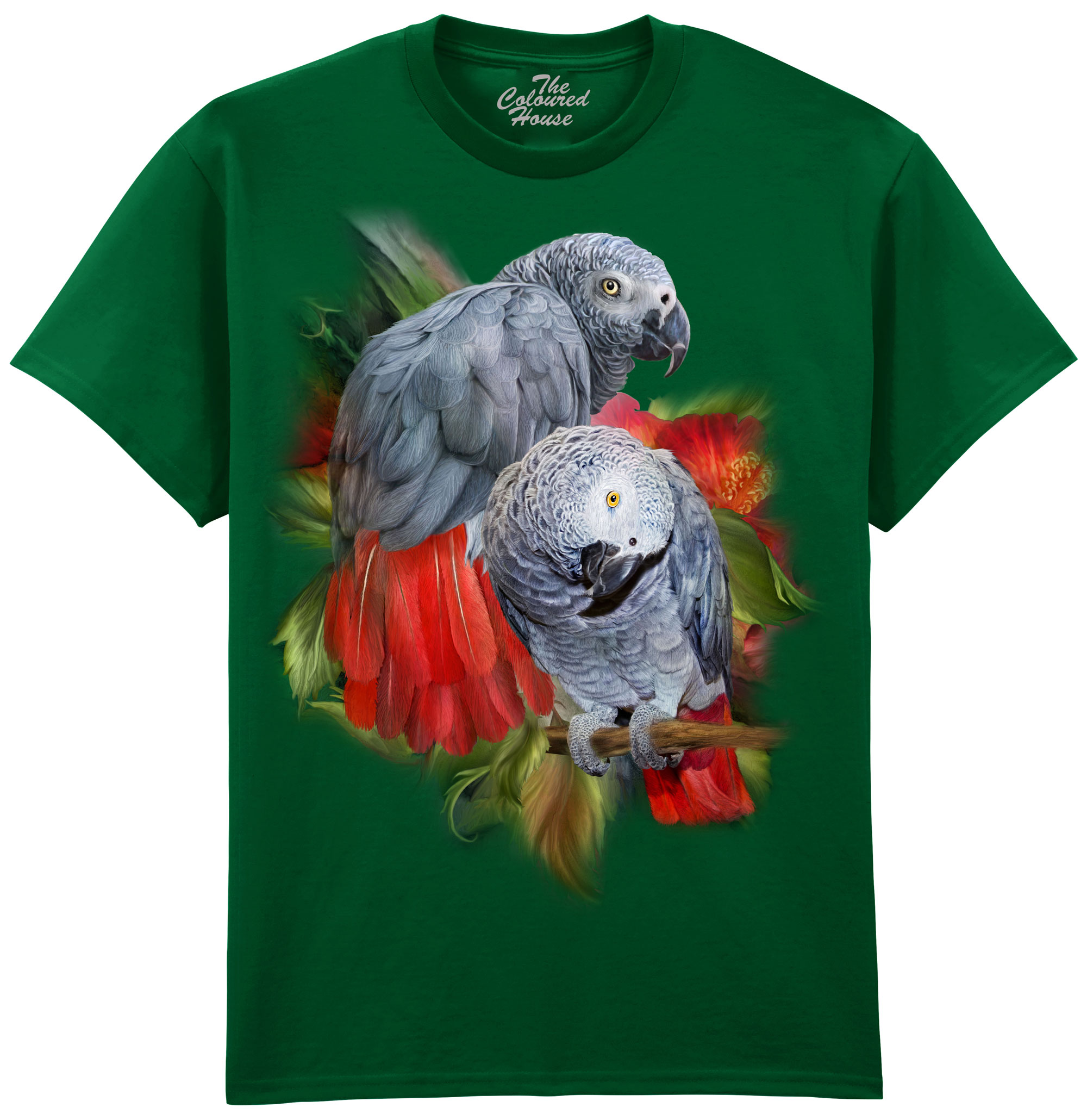 African Greys