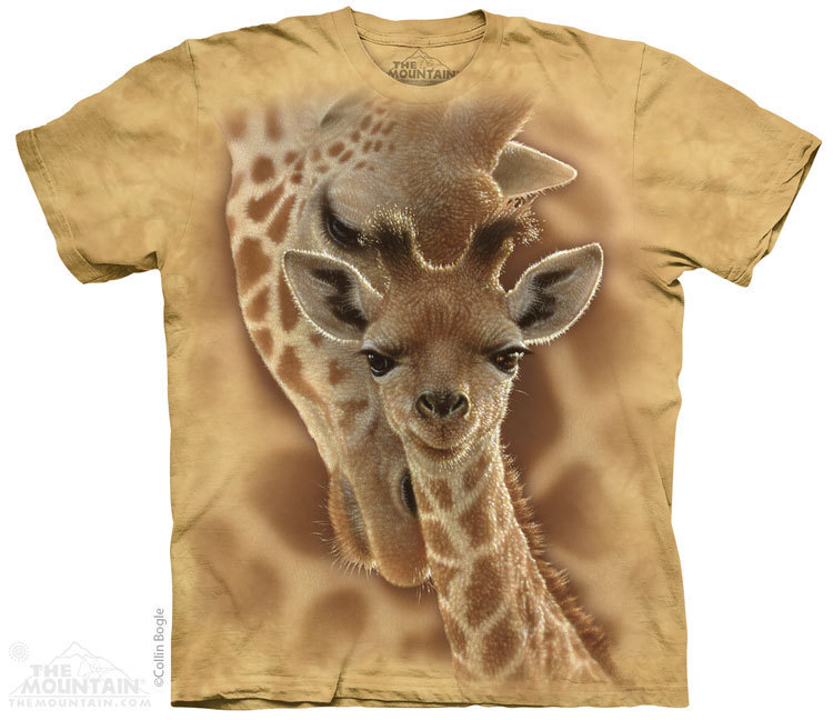 Newborn Giraffe