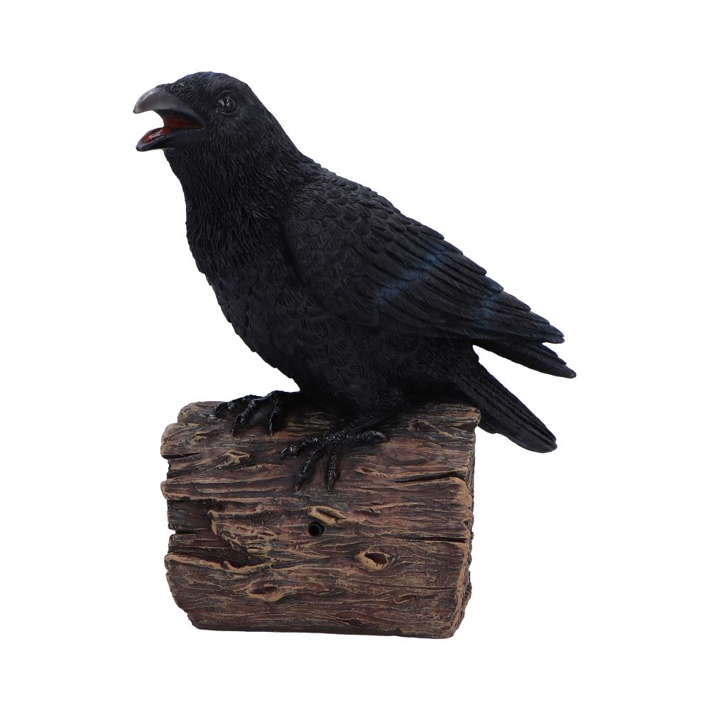 Ravens Cry 18cm Ravens Cry 18cm