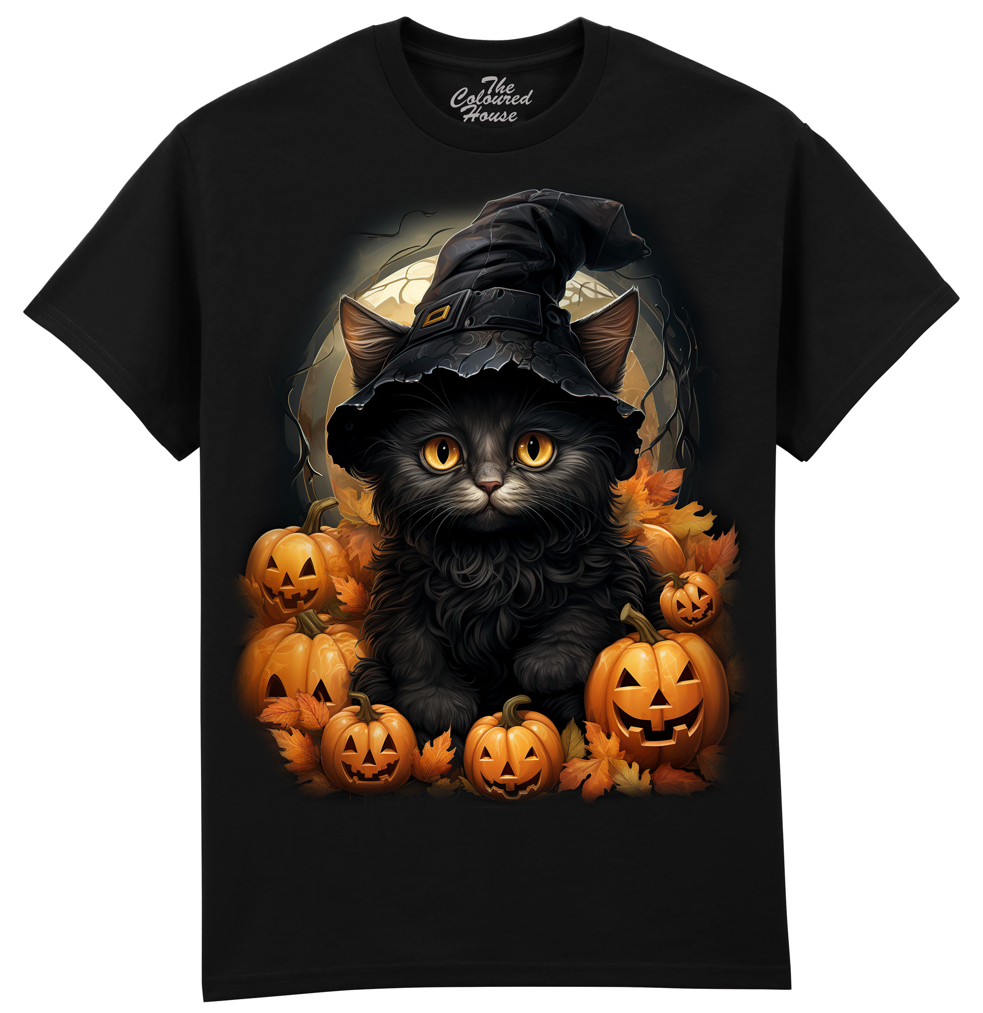 Black Cat Pumpkins