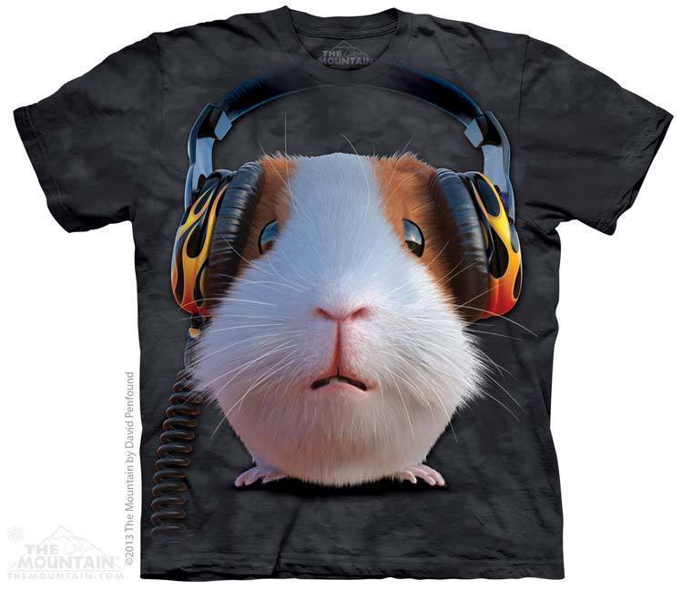DJ Guinea Pig