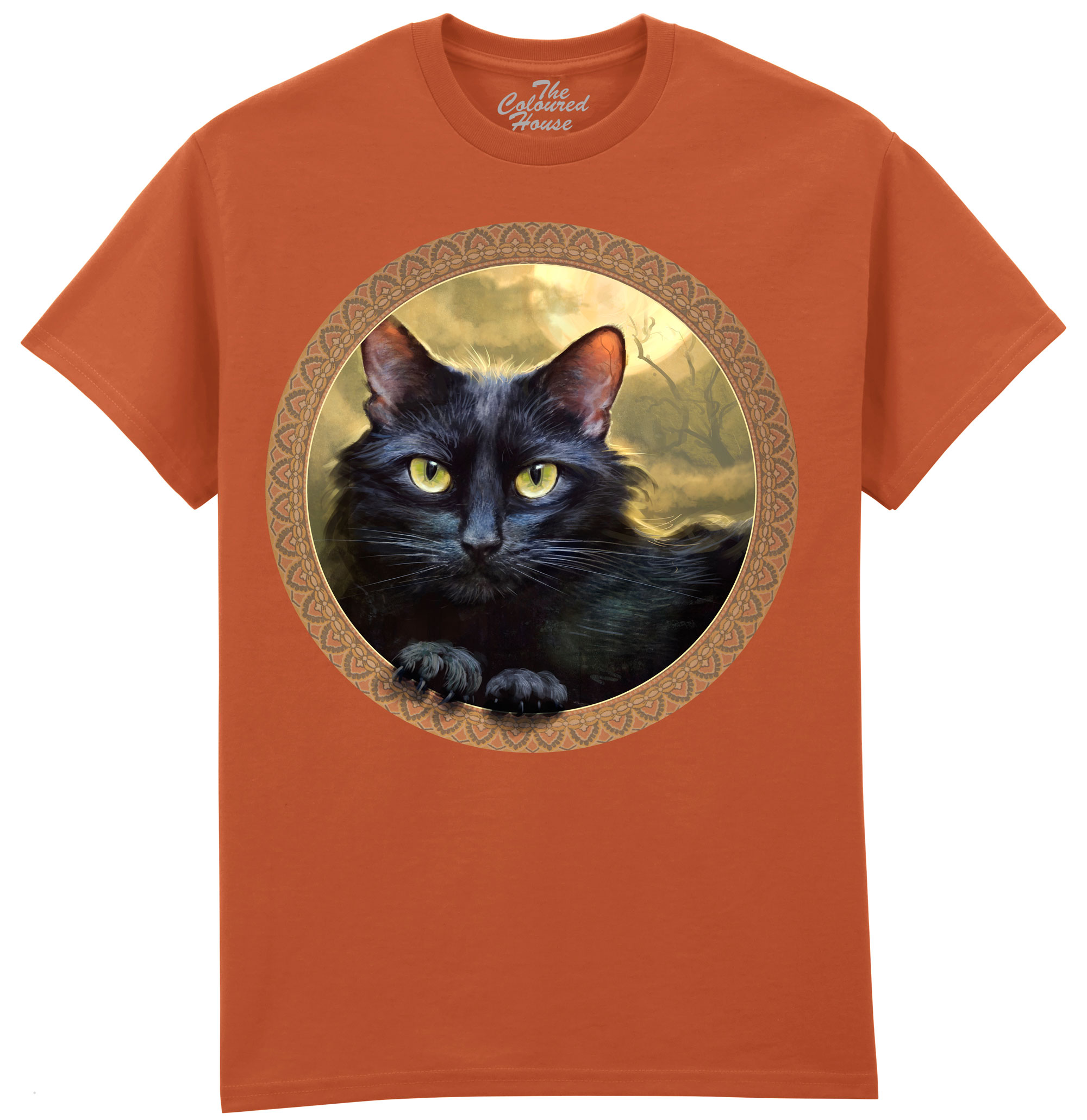 Black Is Beautiful - Cat