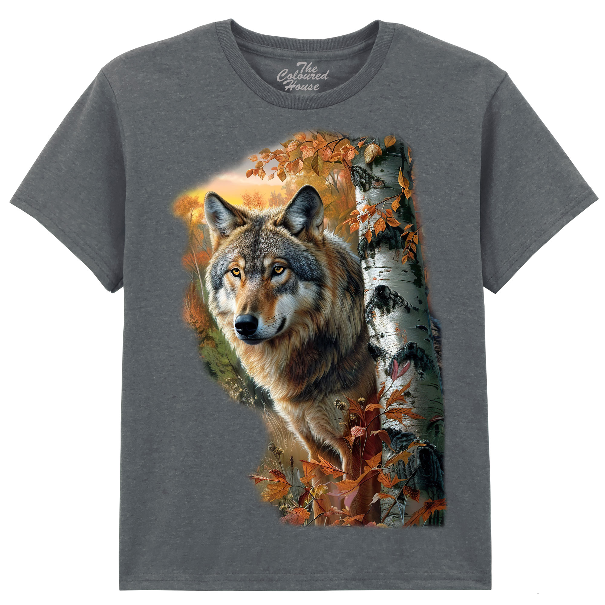 Forest Wolf Portrait KIDS