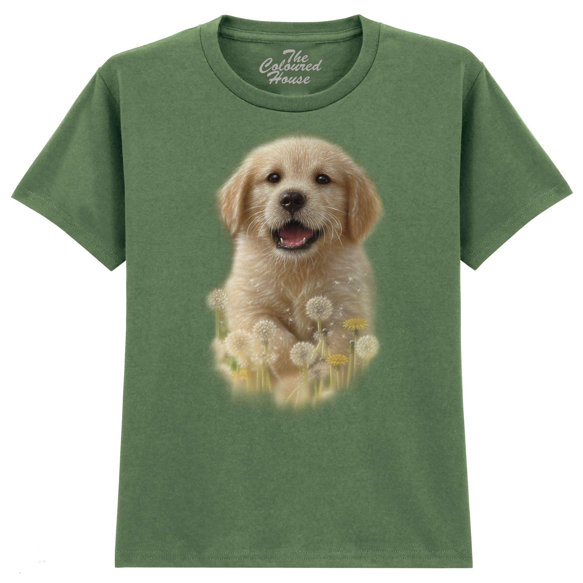 Dandelions - Golden Pup KIDS  